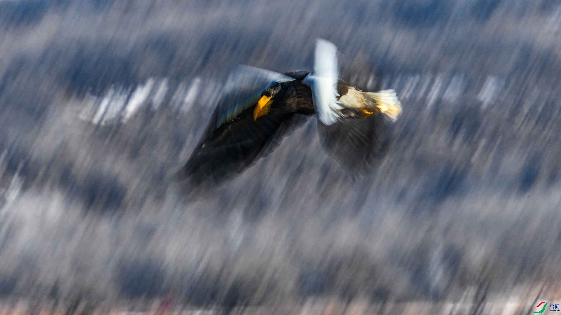 332-���ߵ��������� �ݸ��� ��Ӱ.jpg