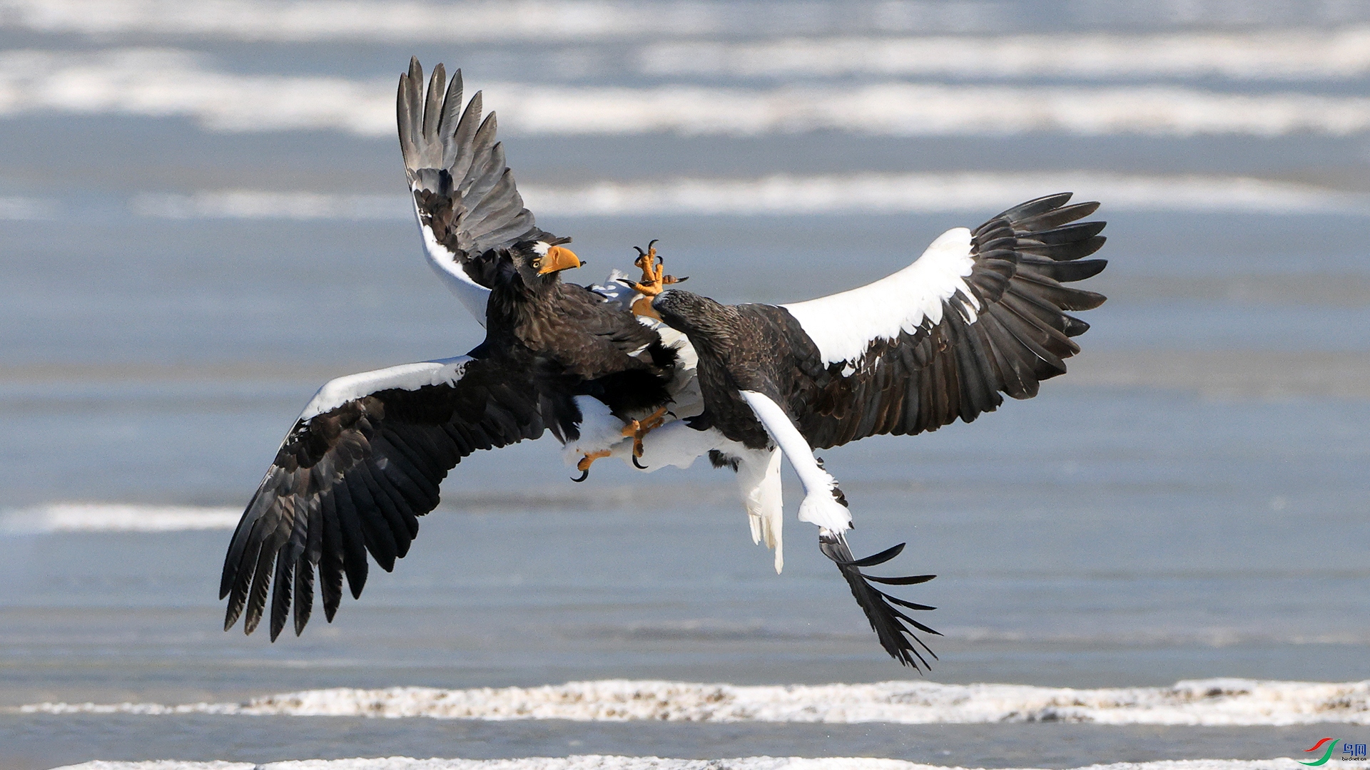 327-���ߵ��������� ������ ��ͷ֮ս.jpg