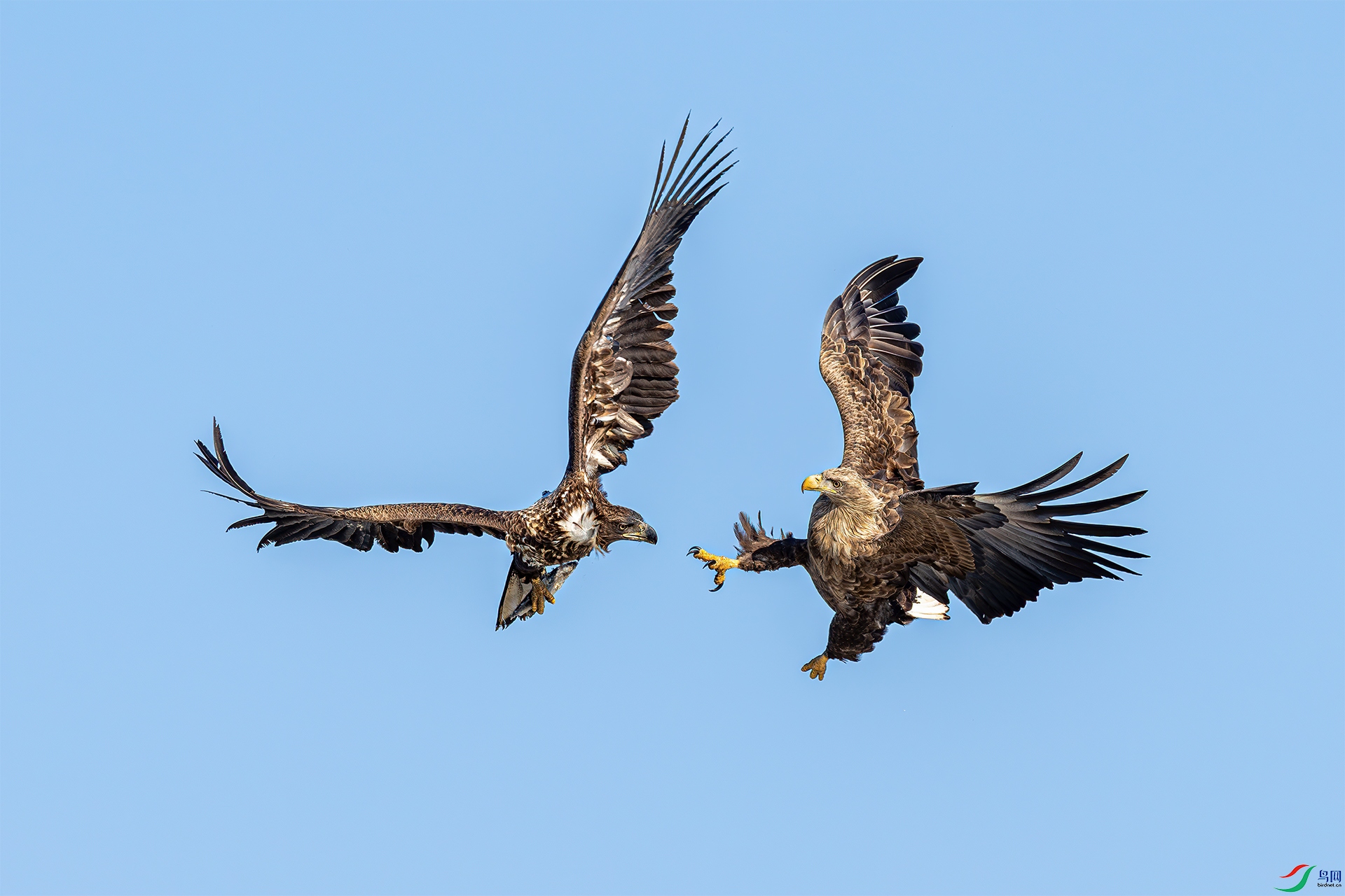 099-�������������� ����һ��  ������¥.jpg