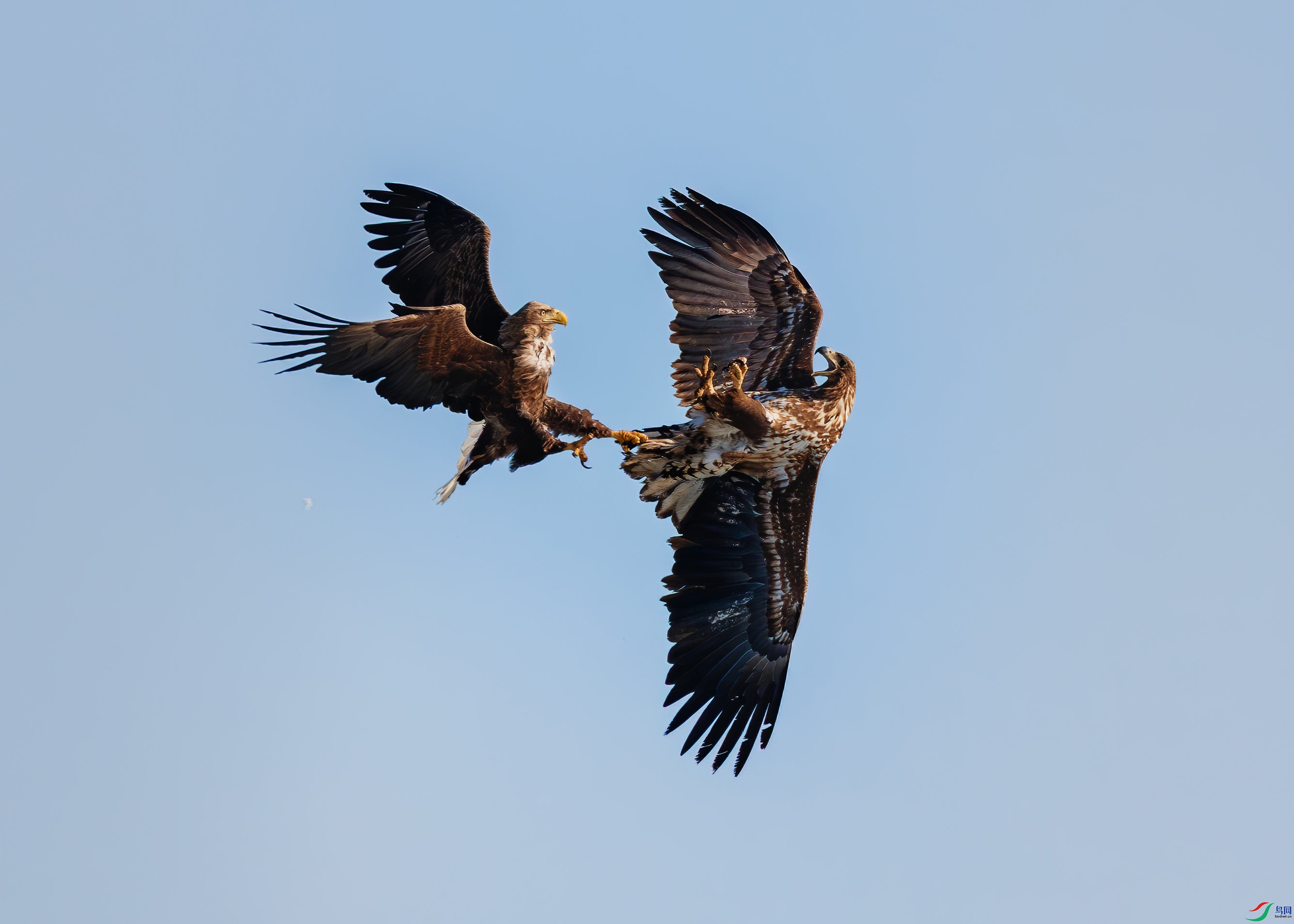 050-DSC07468       ��β����1��-�Ƽ����          ��ɽ��ˮ֮����.jpg