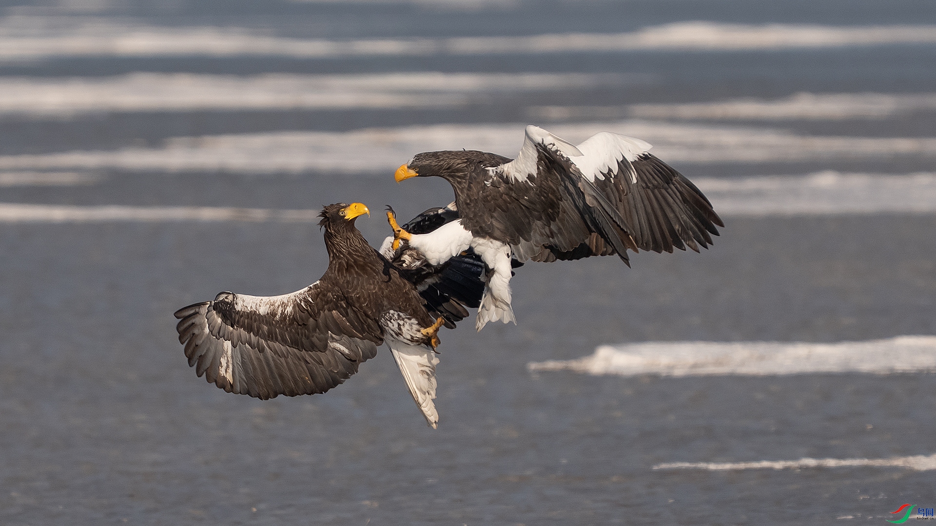 122-��������_DSC6519 ��������һ��С�׺�.jpg