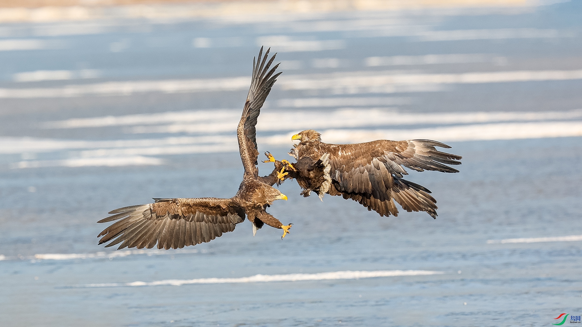 �������������� ��ƽ���� ����Ծ�.jpg