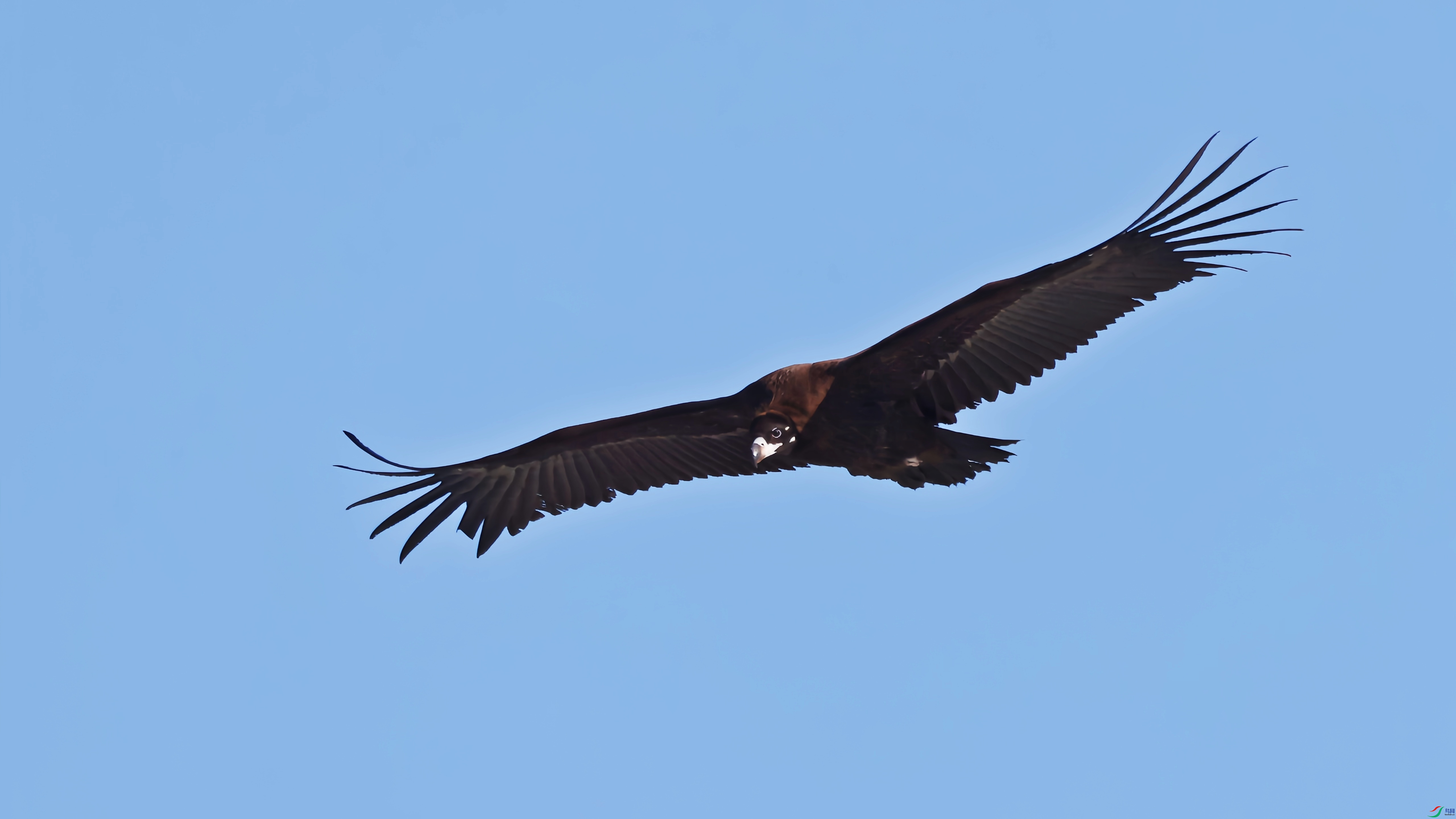 ��ͷ�����  ��������������Ѳ��.jpg