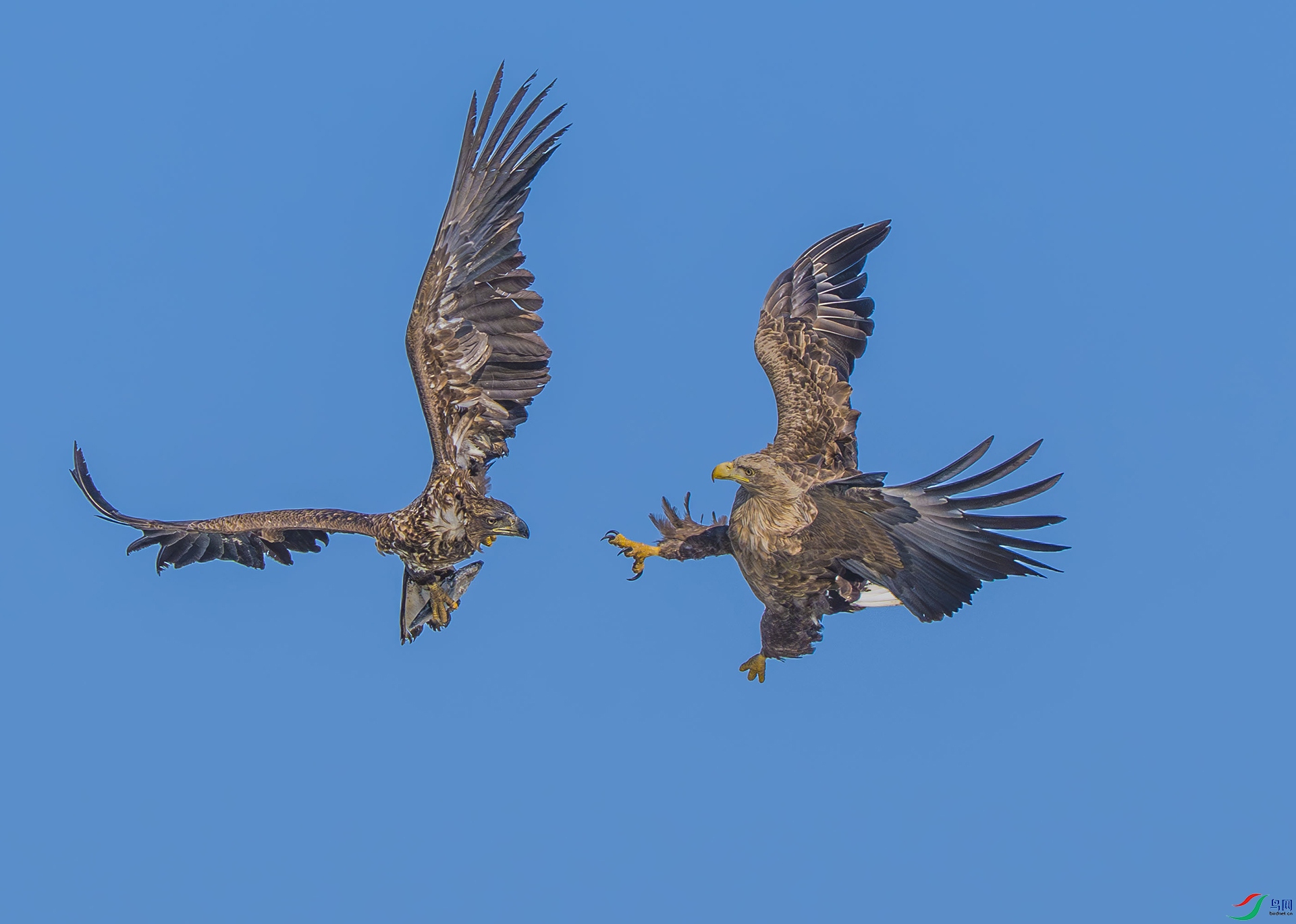 ��β����һ��  ����  ����.jpg