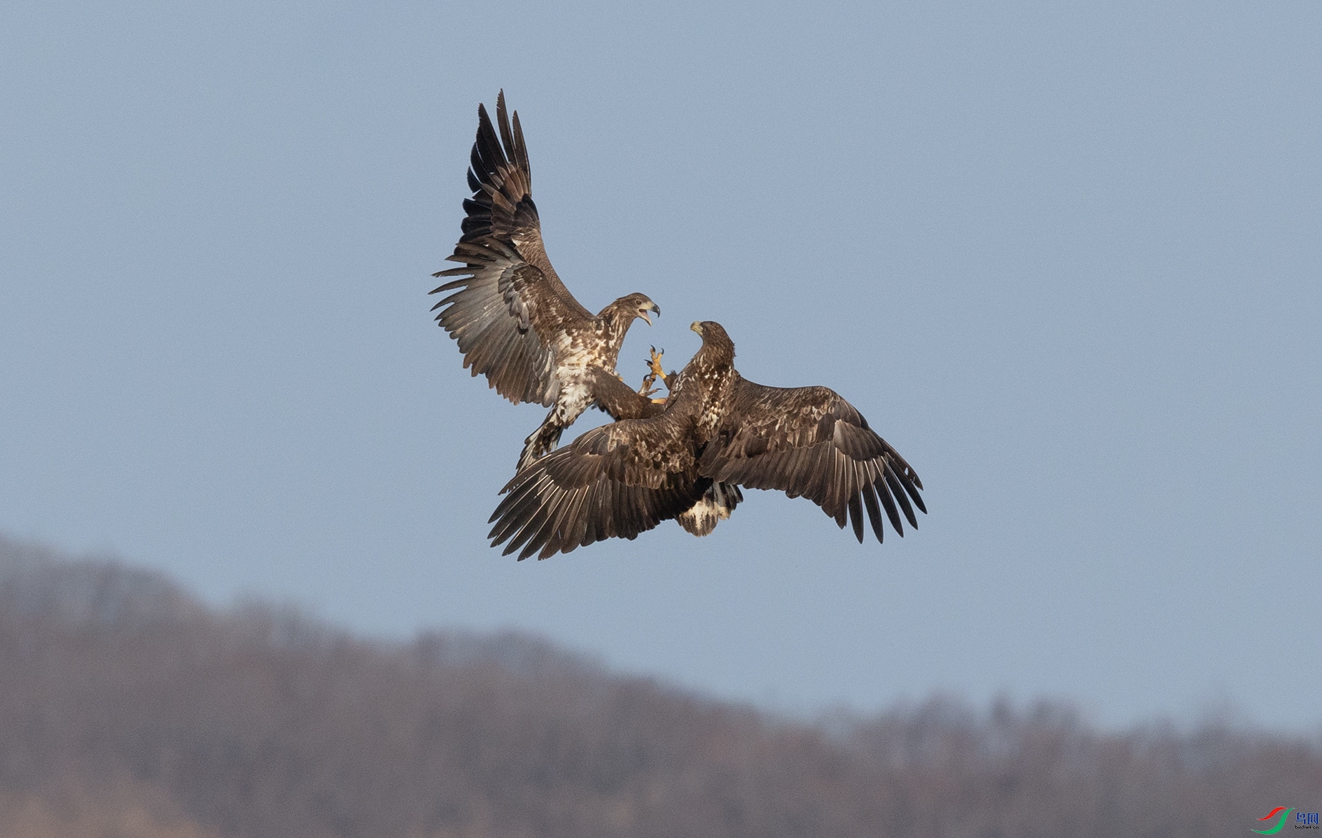 0E8A0268���ߵ����������ɸ��  ���жԻ�.jpg