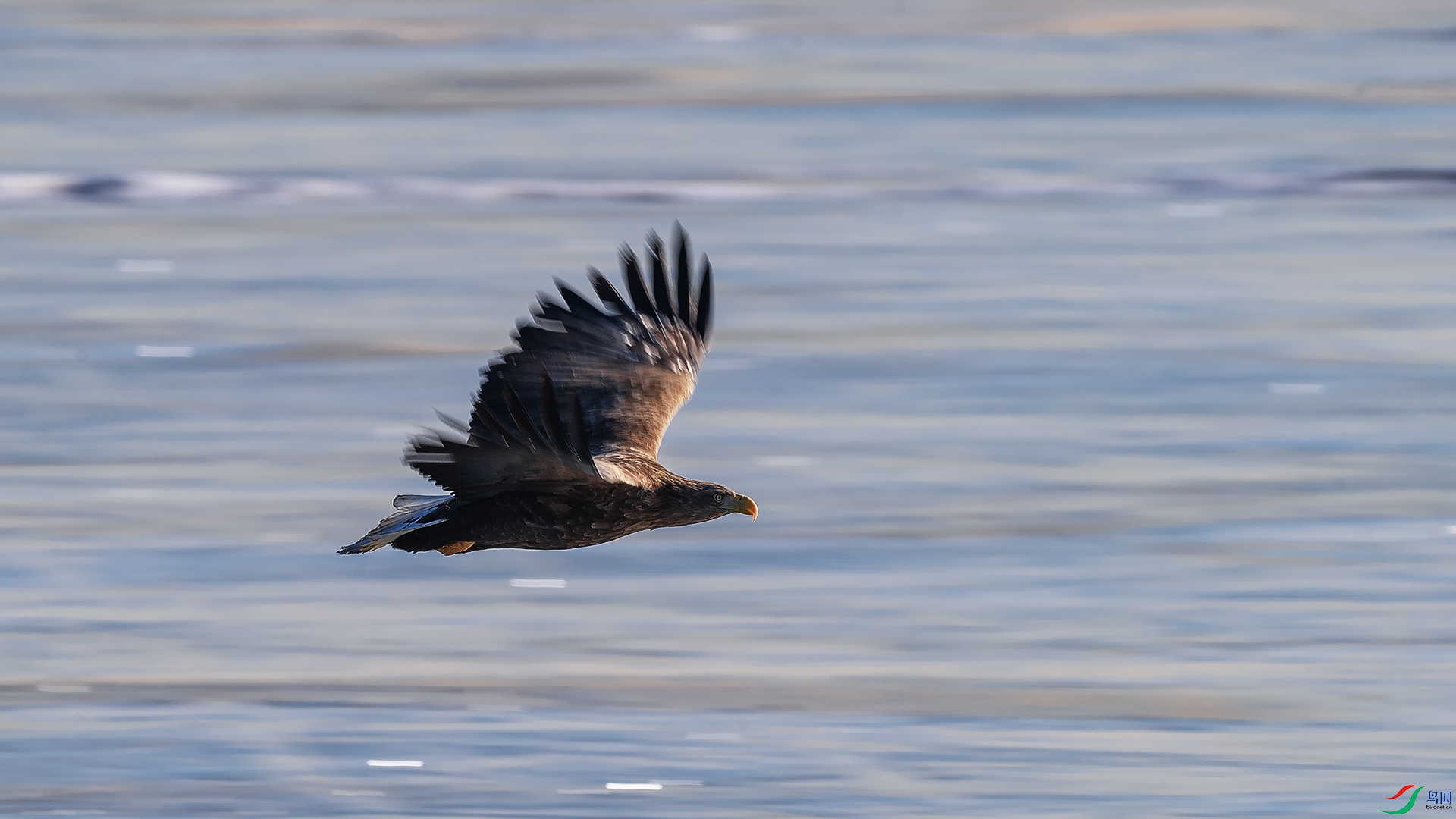 8.��ͷ���������  �л�����  Զ������.jpg