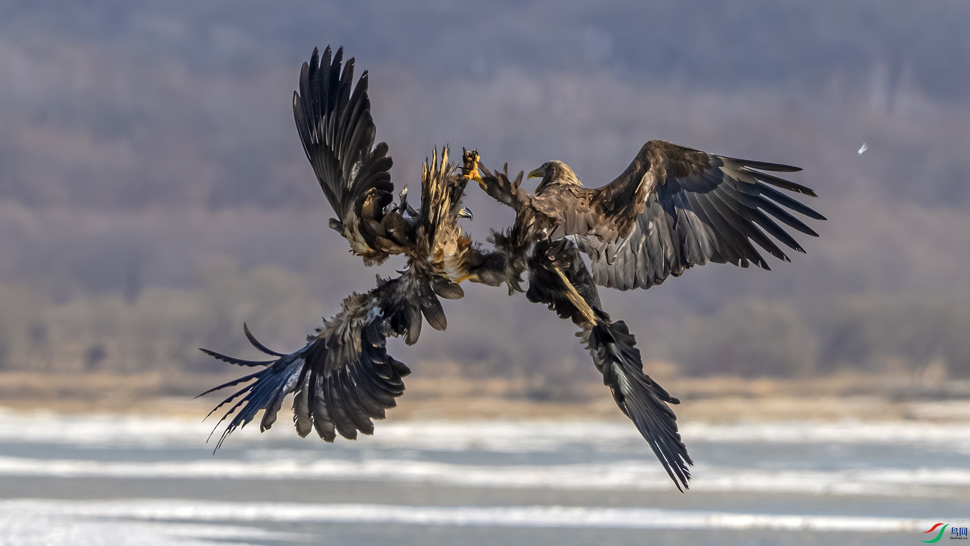 2 . ������  ��· �������� DSC_4830 .jpg