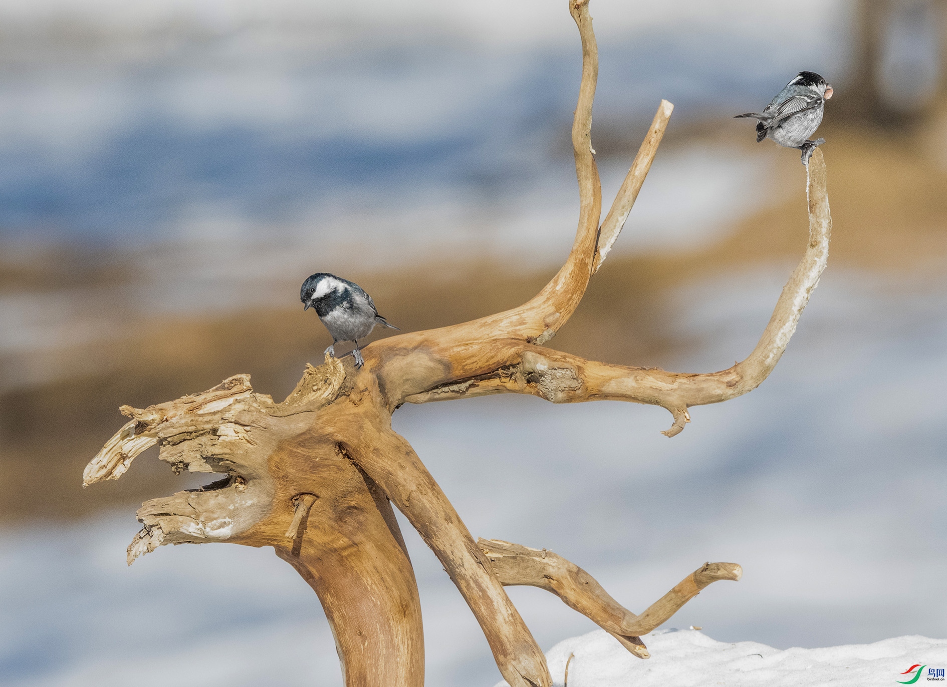 DSC_8925_��ͼ�� ���� 2.jpg