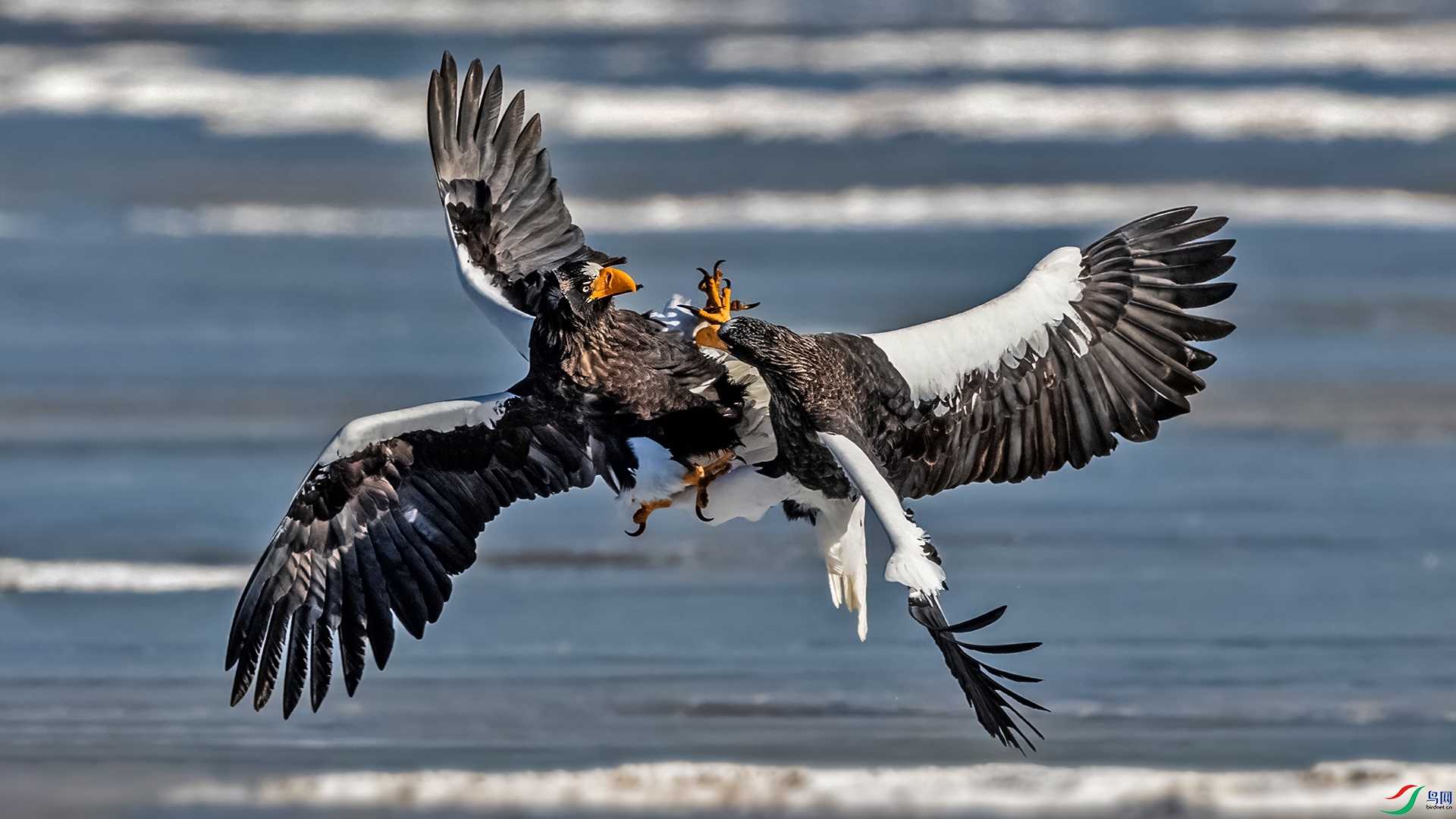 IMG_5009 (1)��ͷ֮ս.jpg