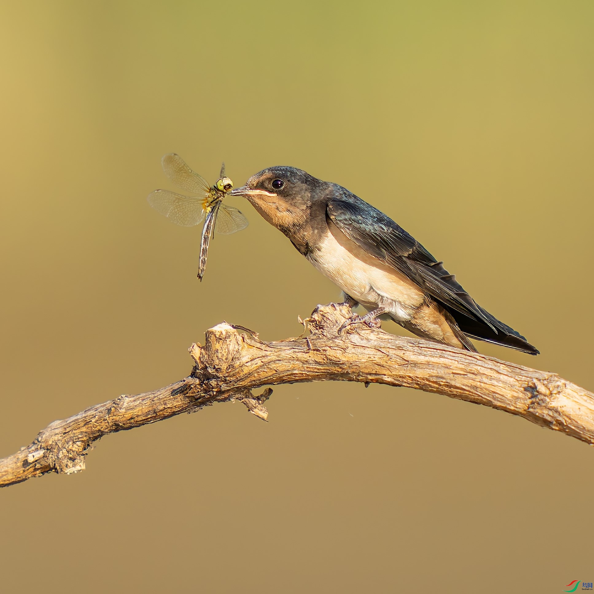 20250830-_DSC7383 .jpg