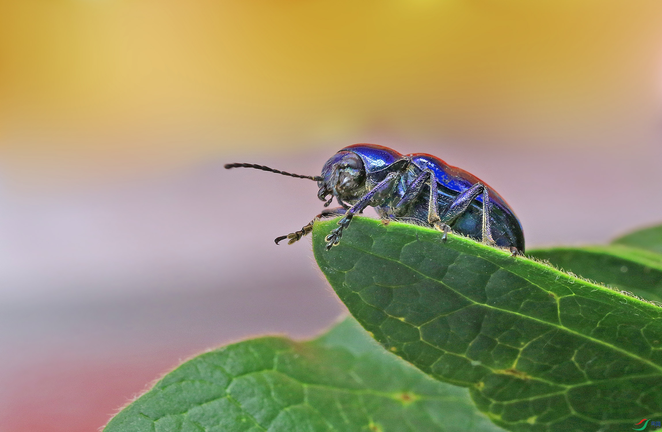 0N2A1998 ����.jpg