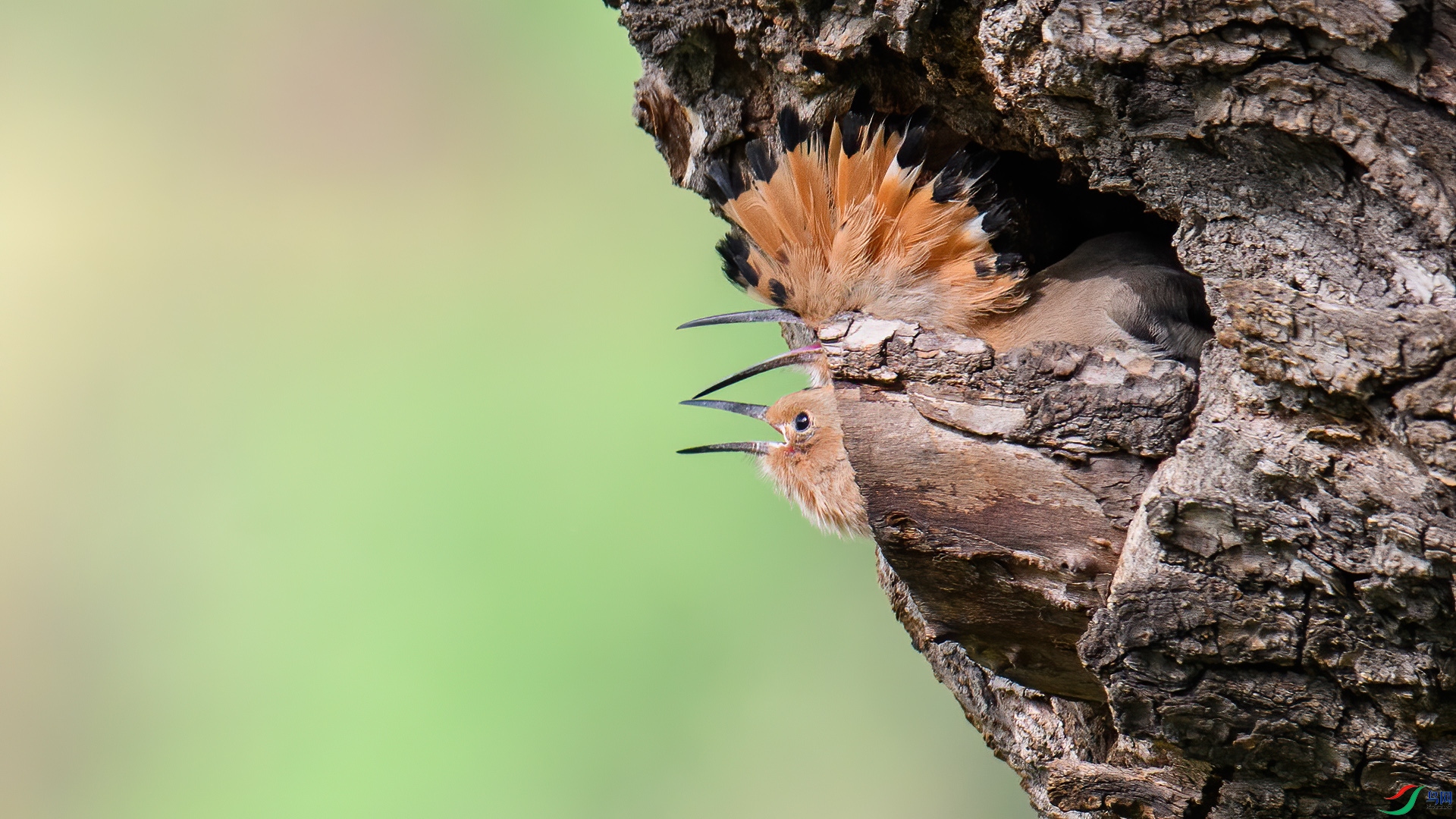 DSC_4404-20250530�� .jpg