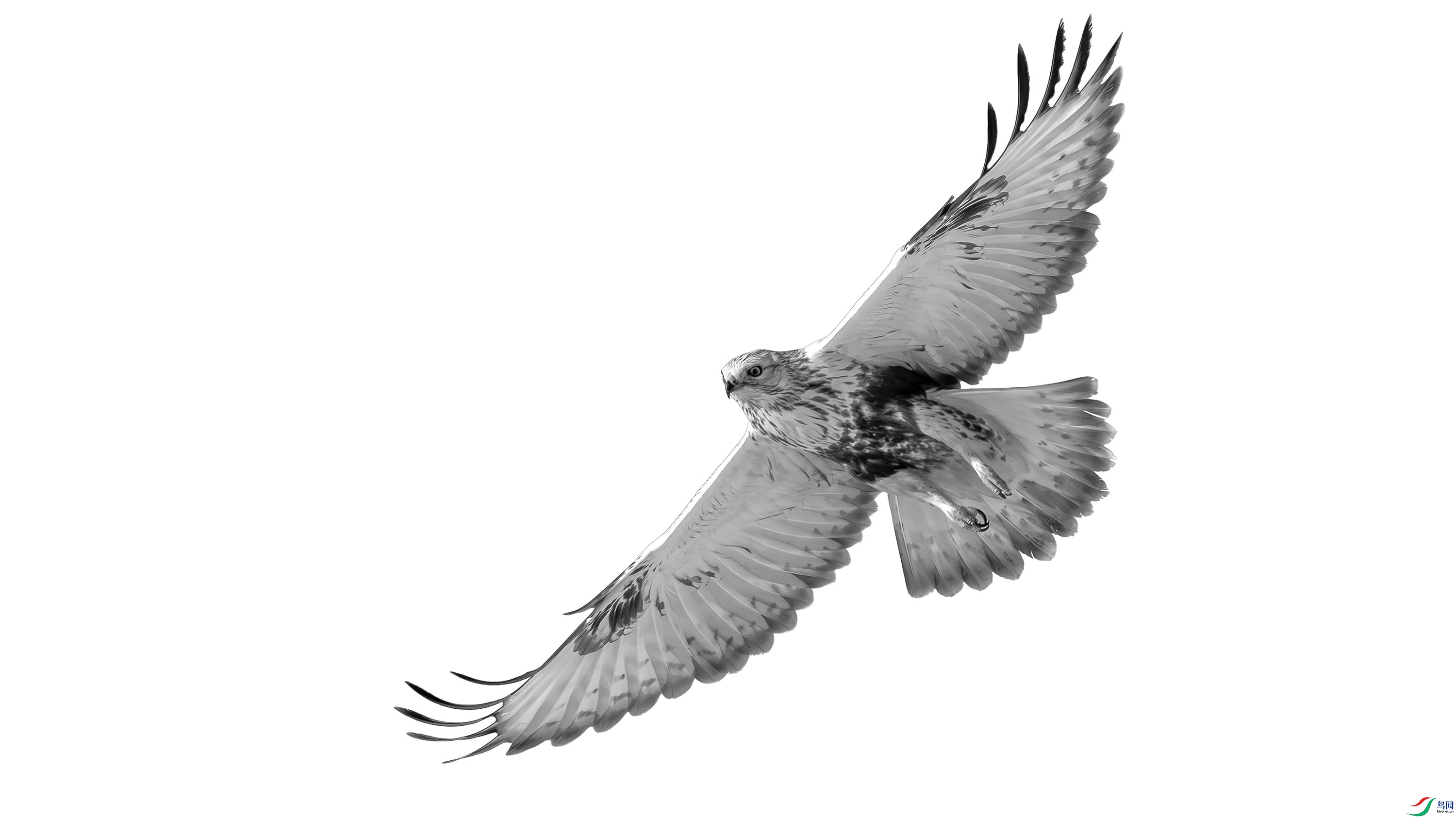 DSC05512 ����.jpg