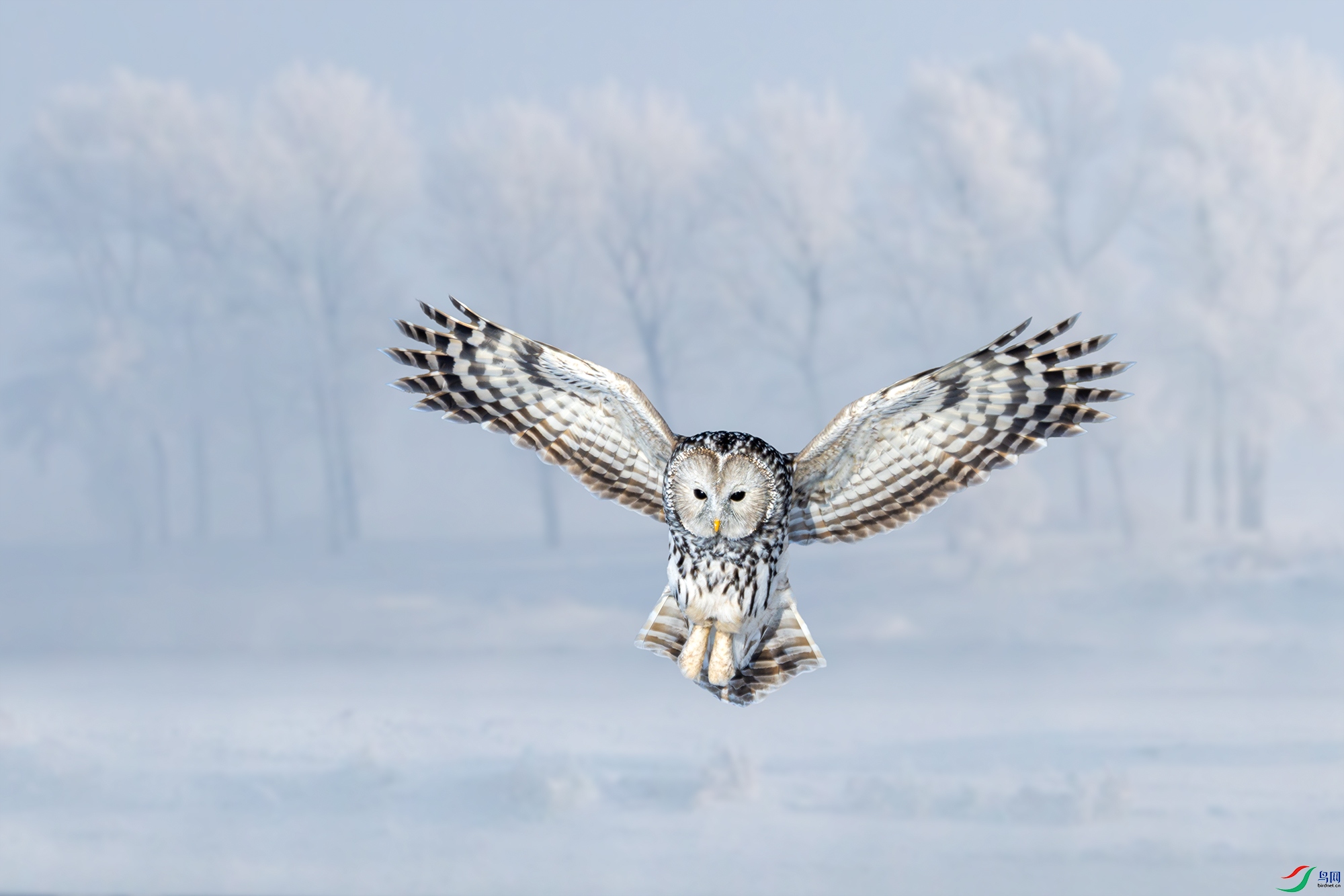 _DSC1893 ����1С.jpg