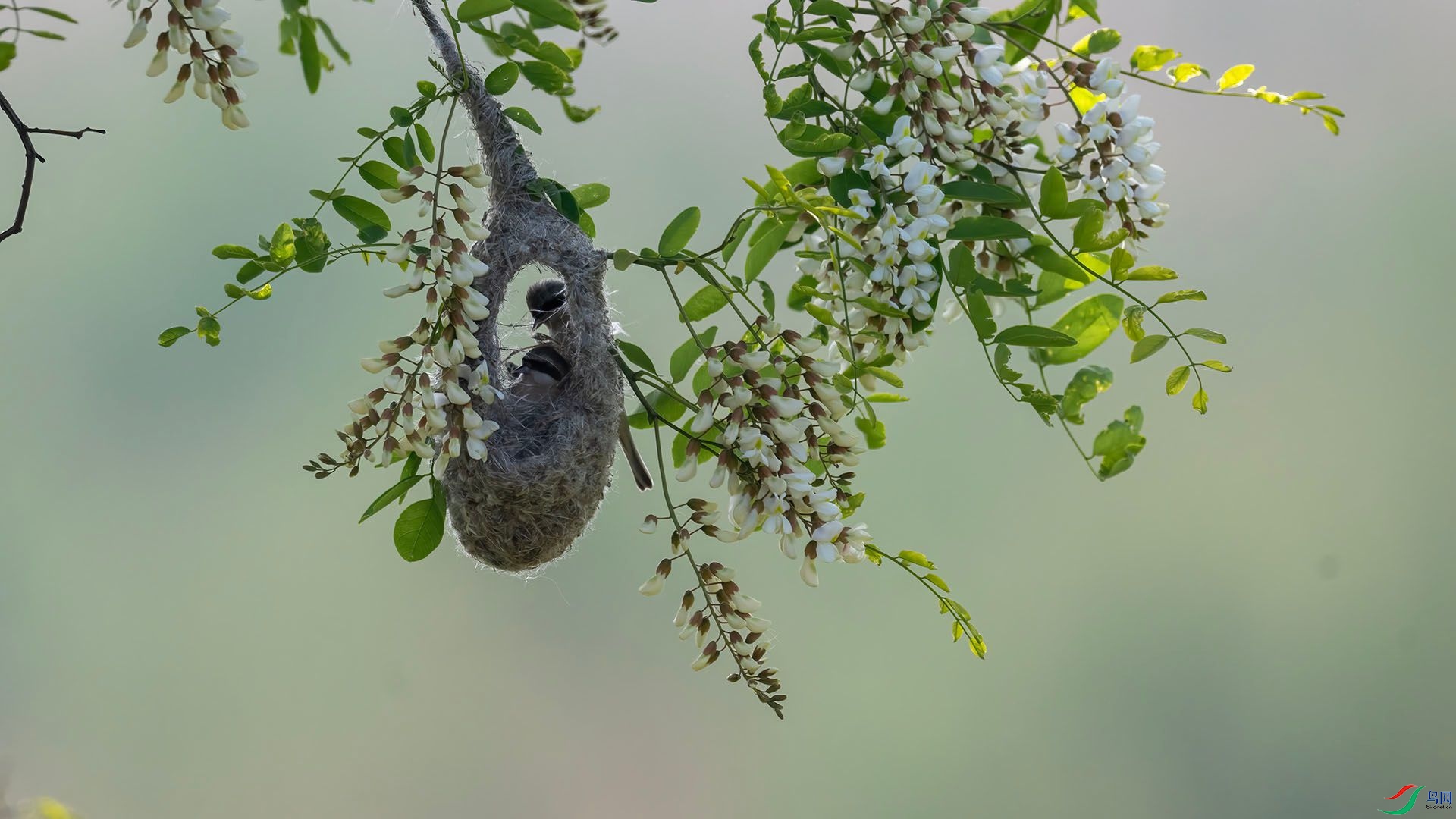 _DSC0765 ����.jpg