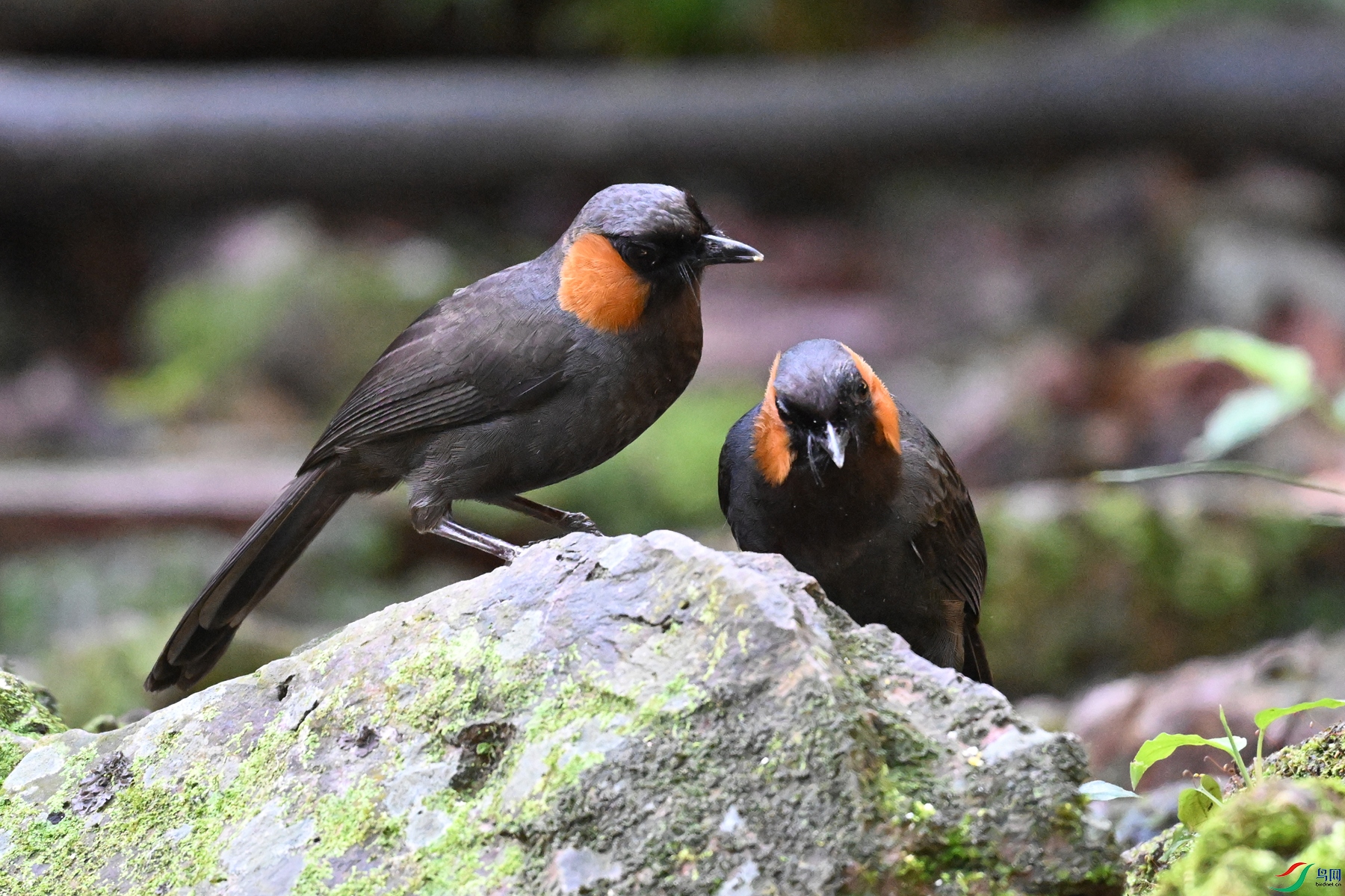 DSC_6473.JPG