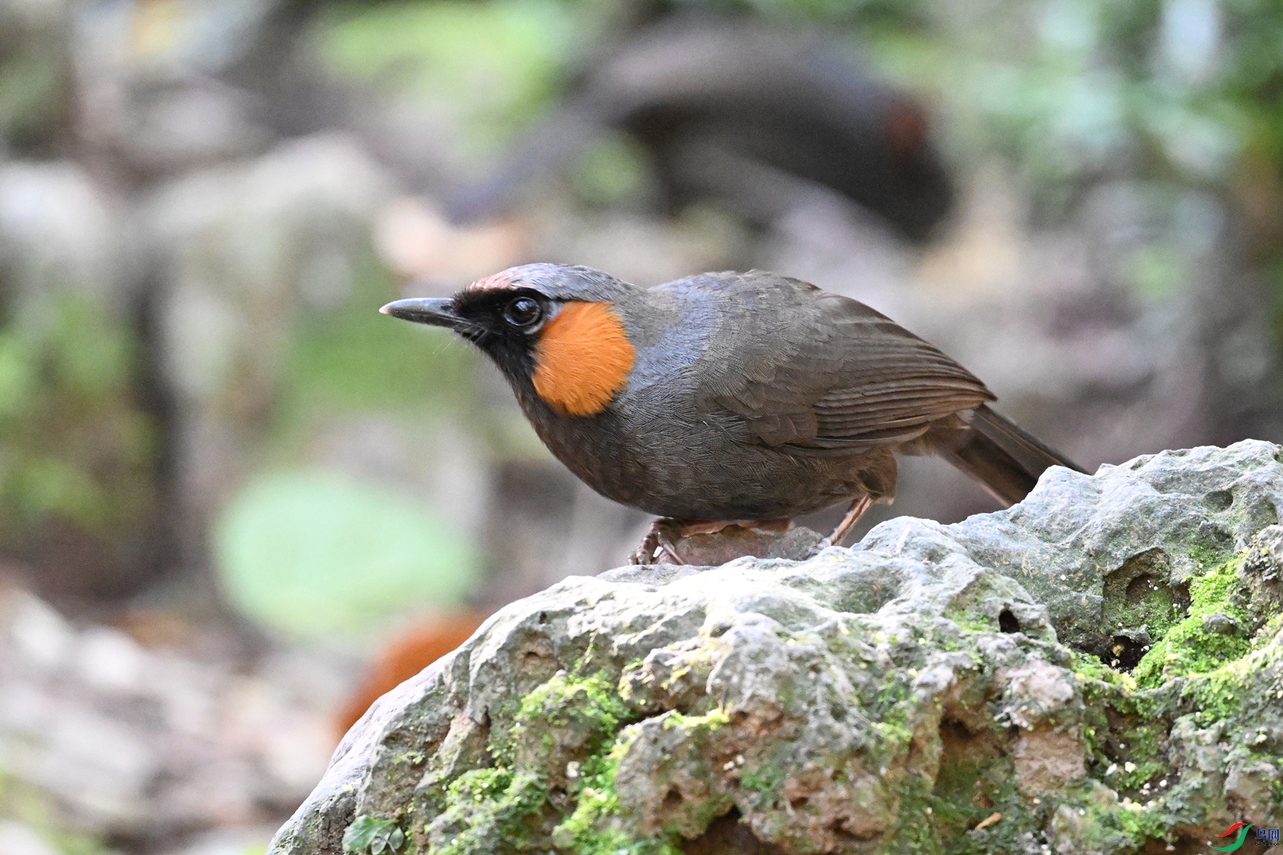 DSC_6486.JPG