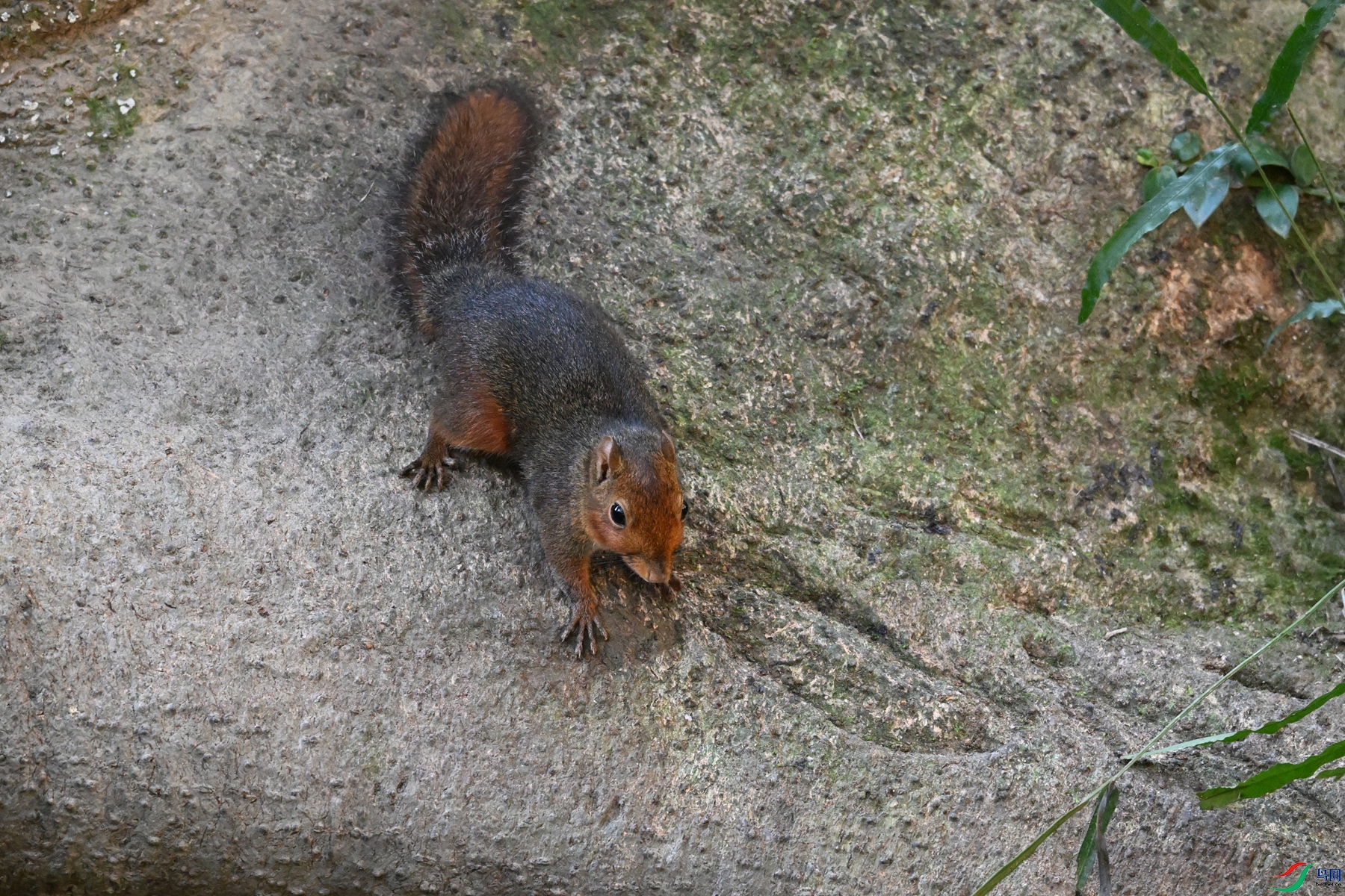 DSC_6443.JPG