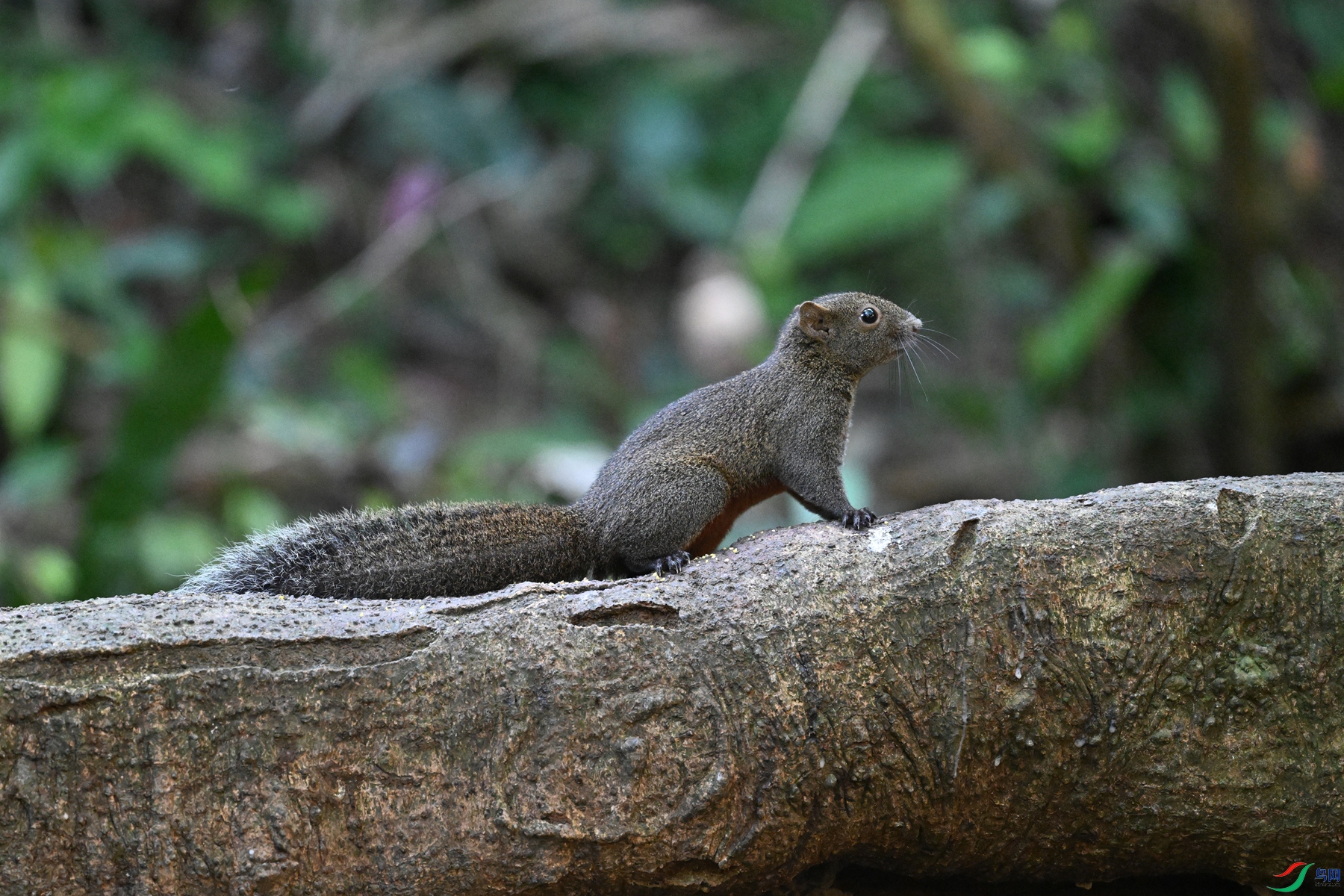 DSC_6441.JPG