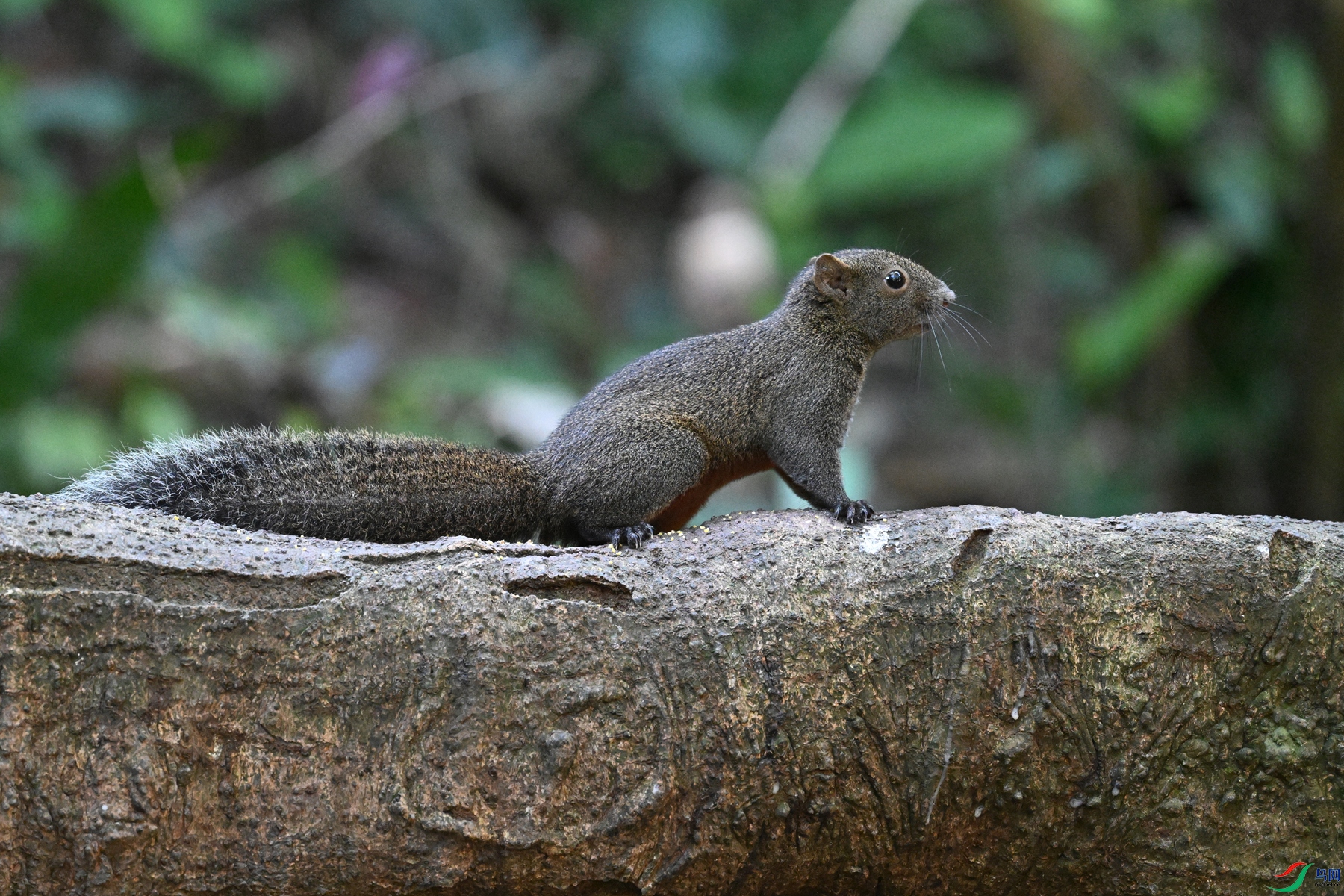 DSC_6442.JPG