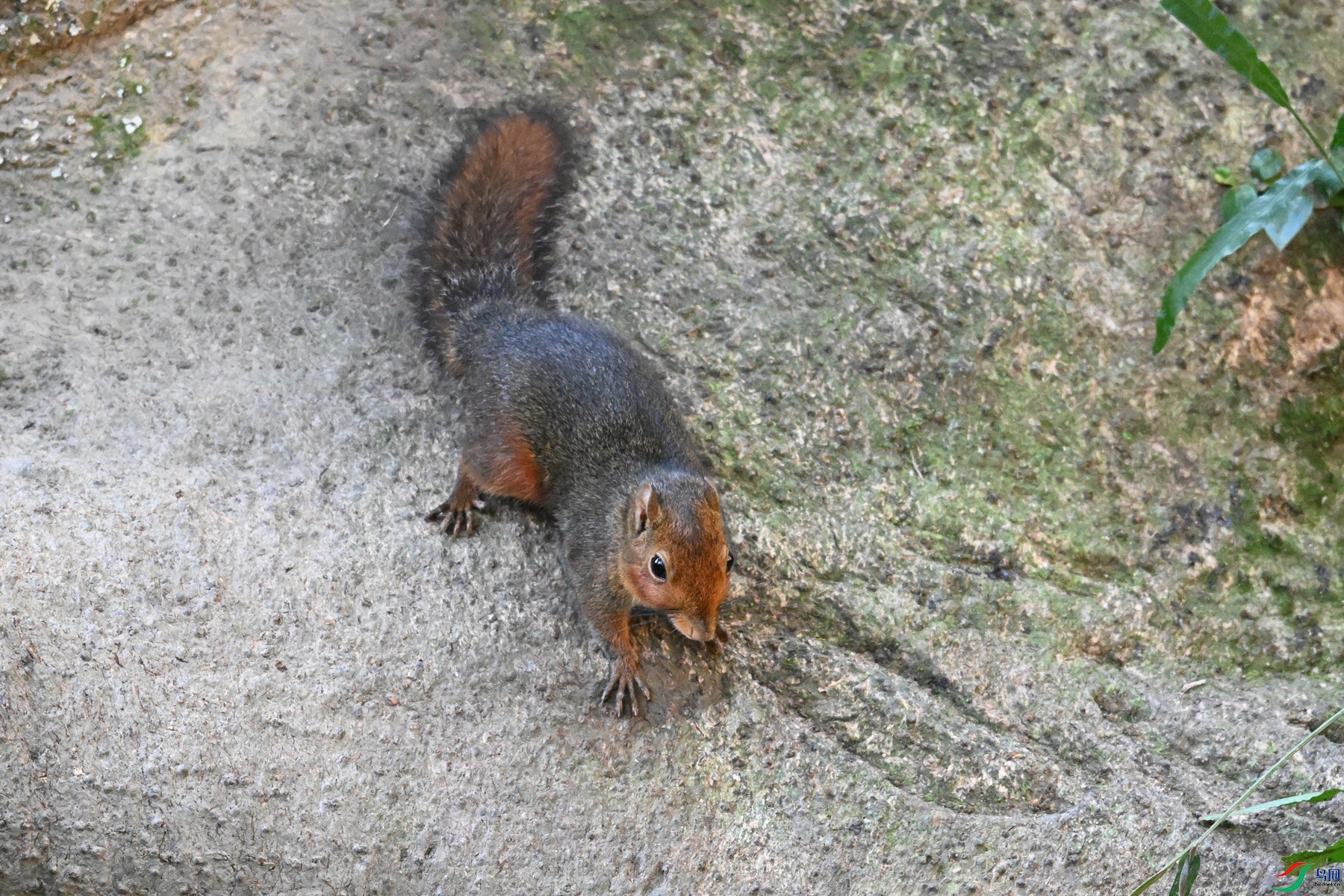 DSC_6446.JPG