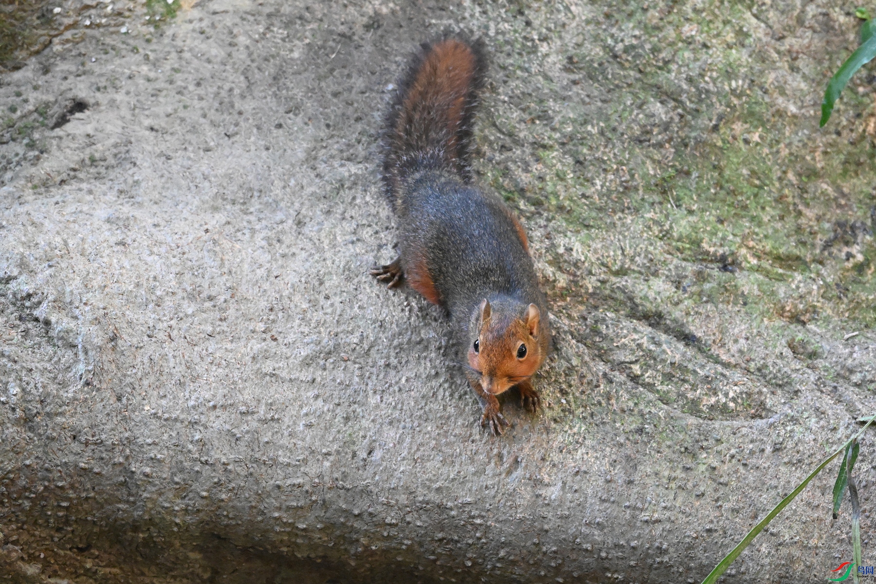 DSC_6448.JPG