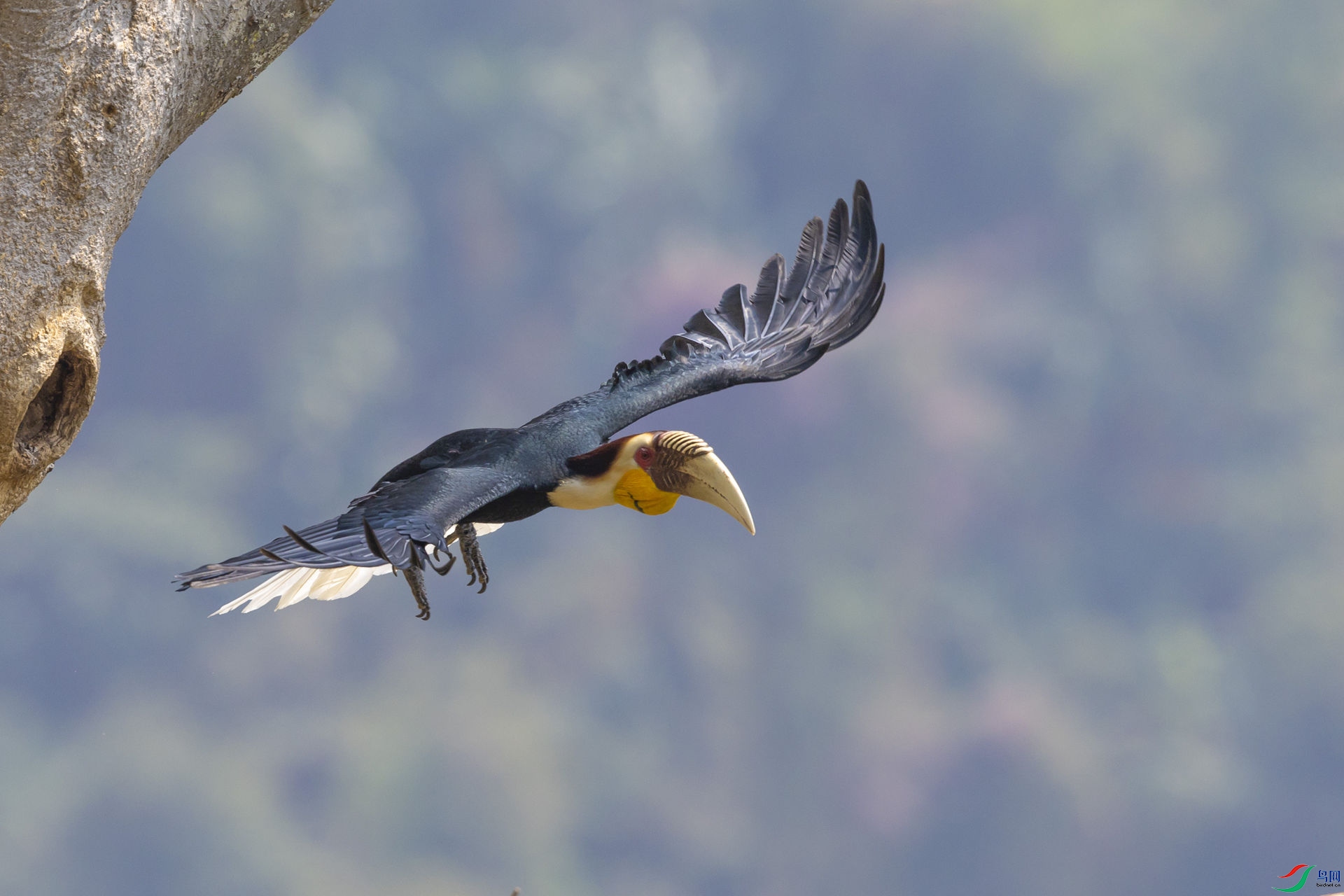 �������Ϭ��