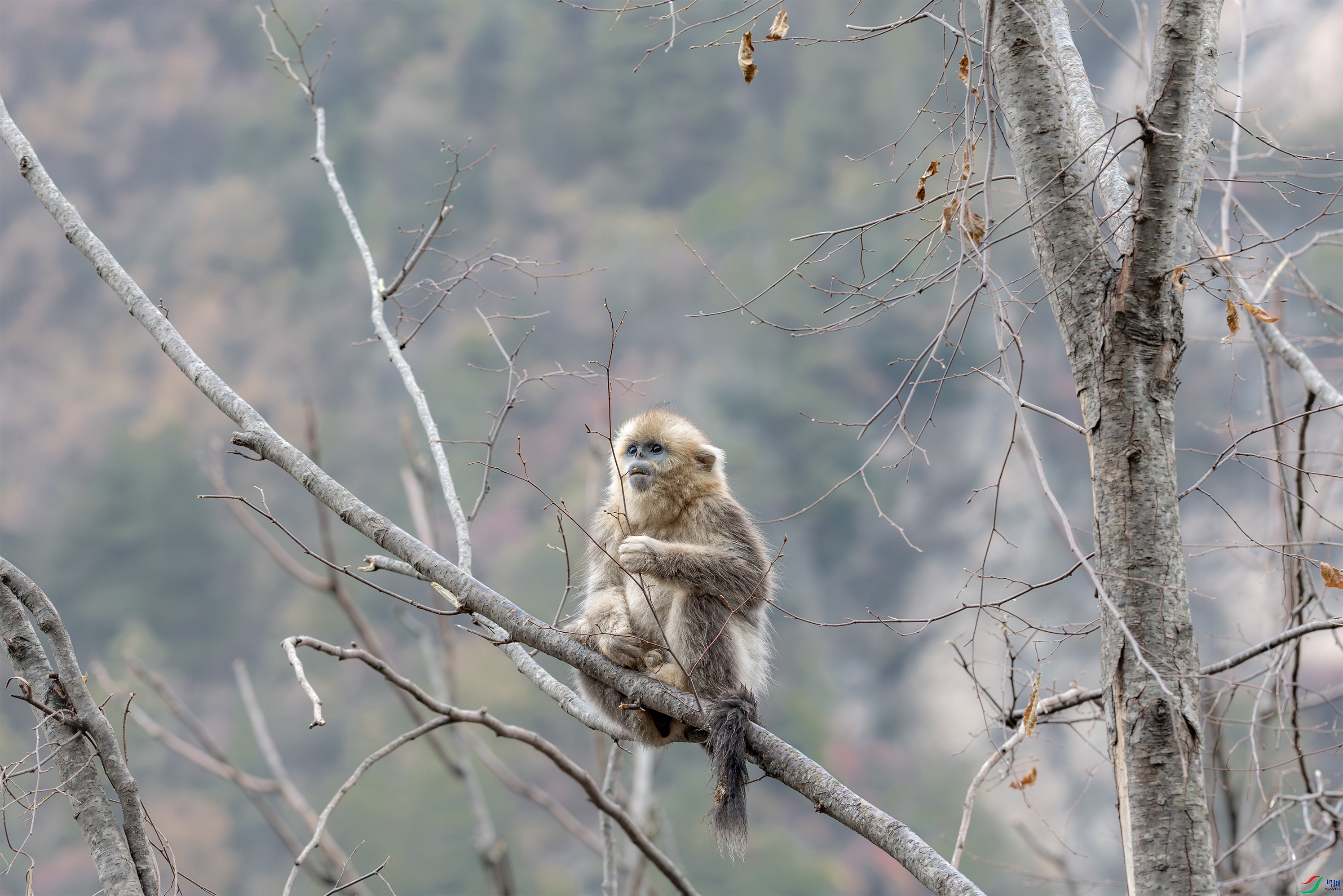 063A7178 ����.jpg