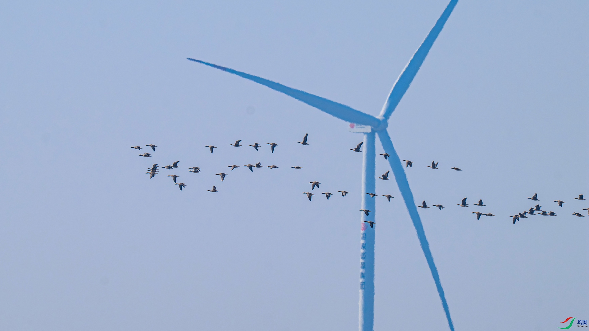 _DSC9761 ����_����.jpg