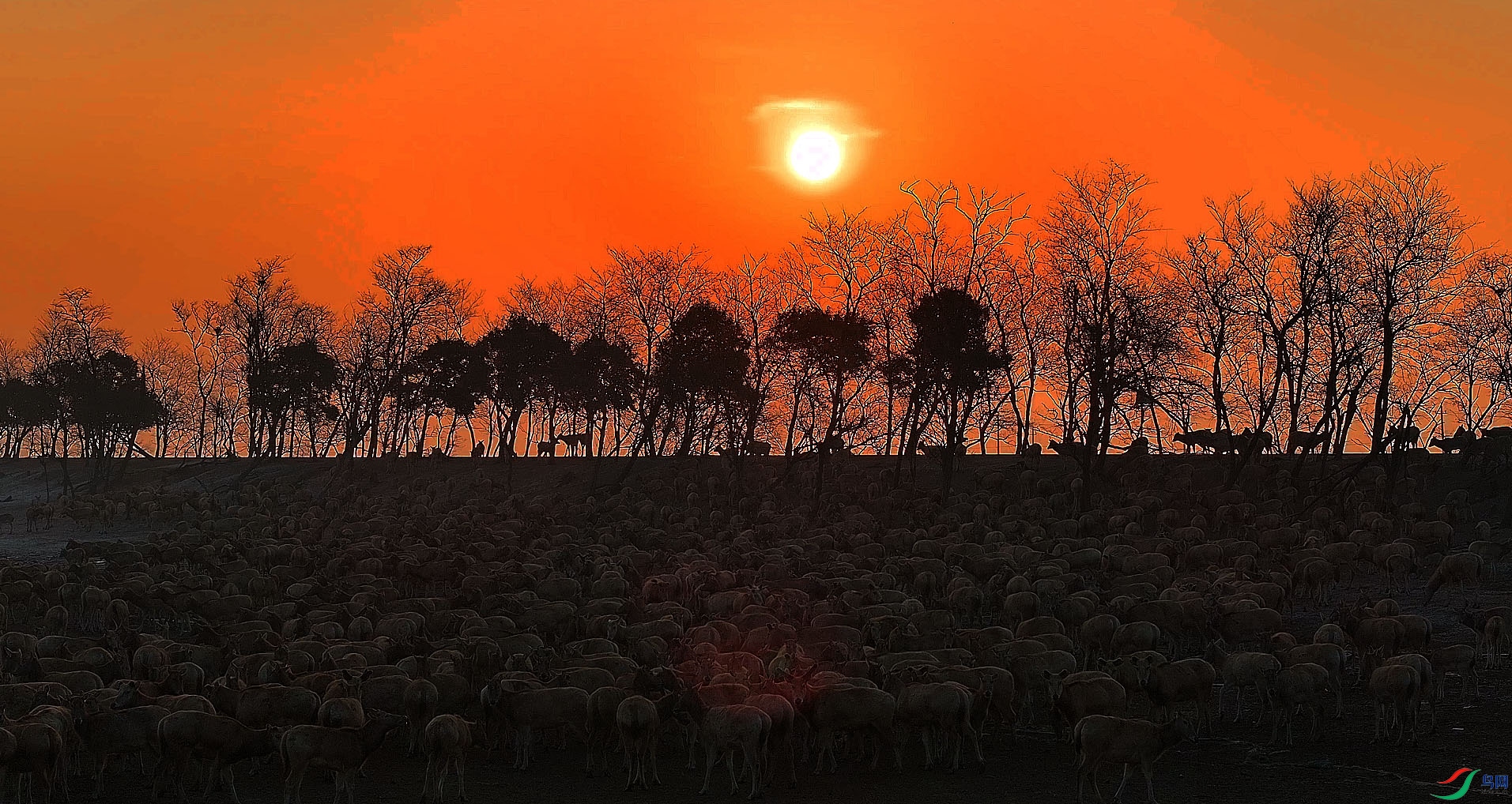 {6936B206-10BB-46DF-B719-BEB17DDE7872} ����.jpg