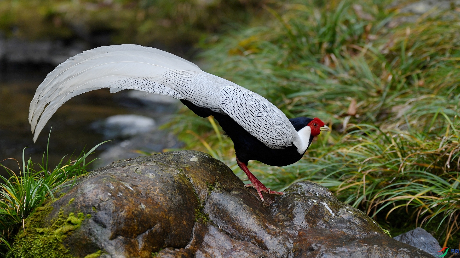 DSC_7254.jpg