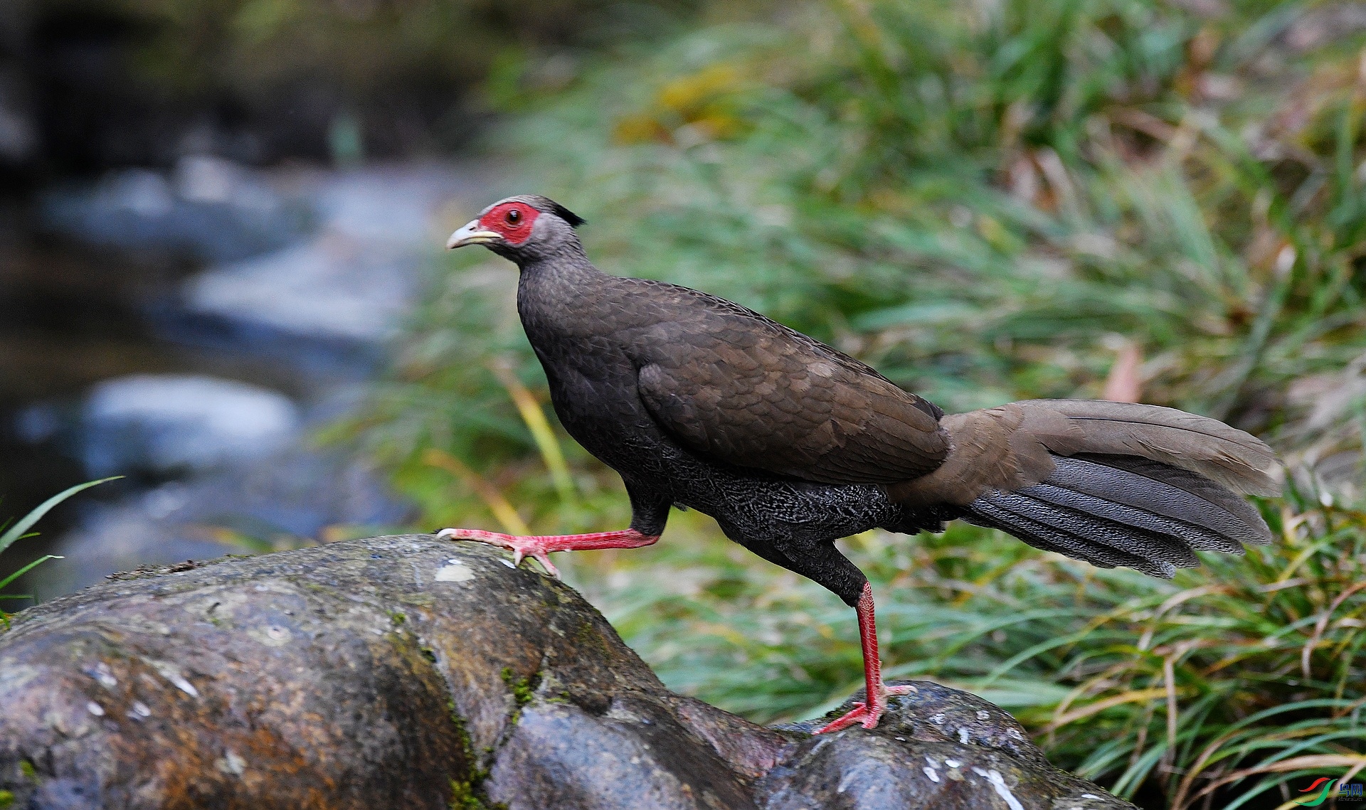 DSC_7372.jpg