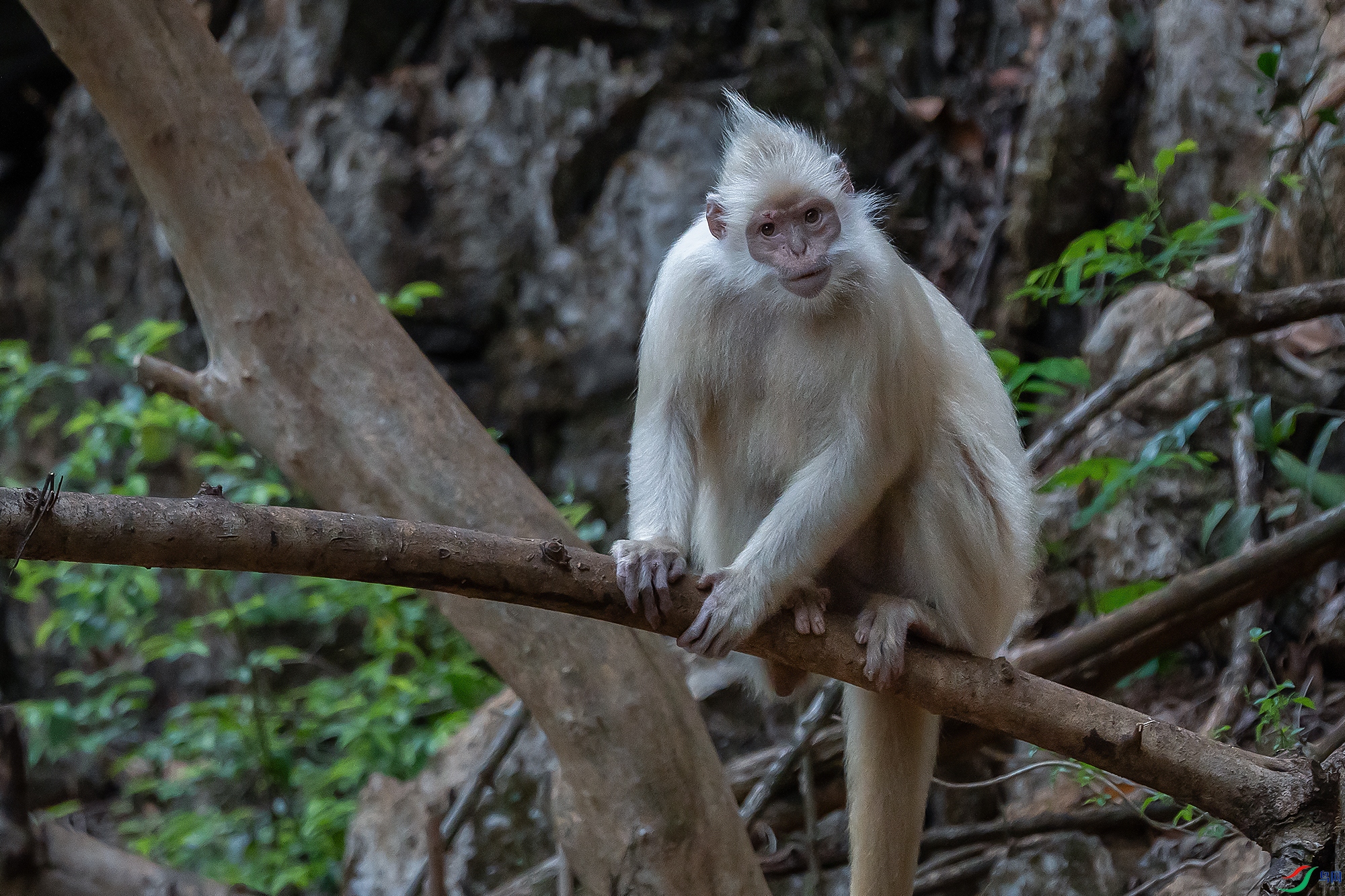 DSC05507 ����.jpg