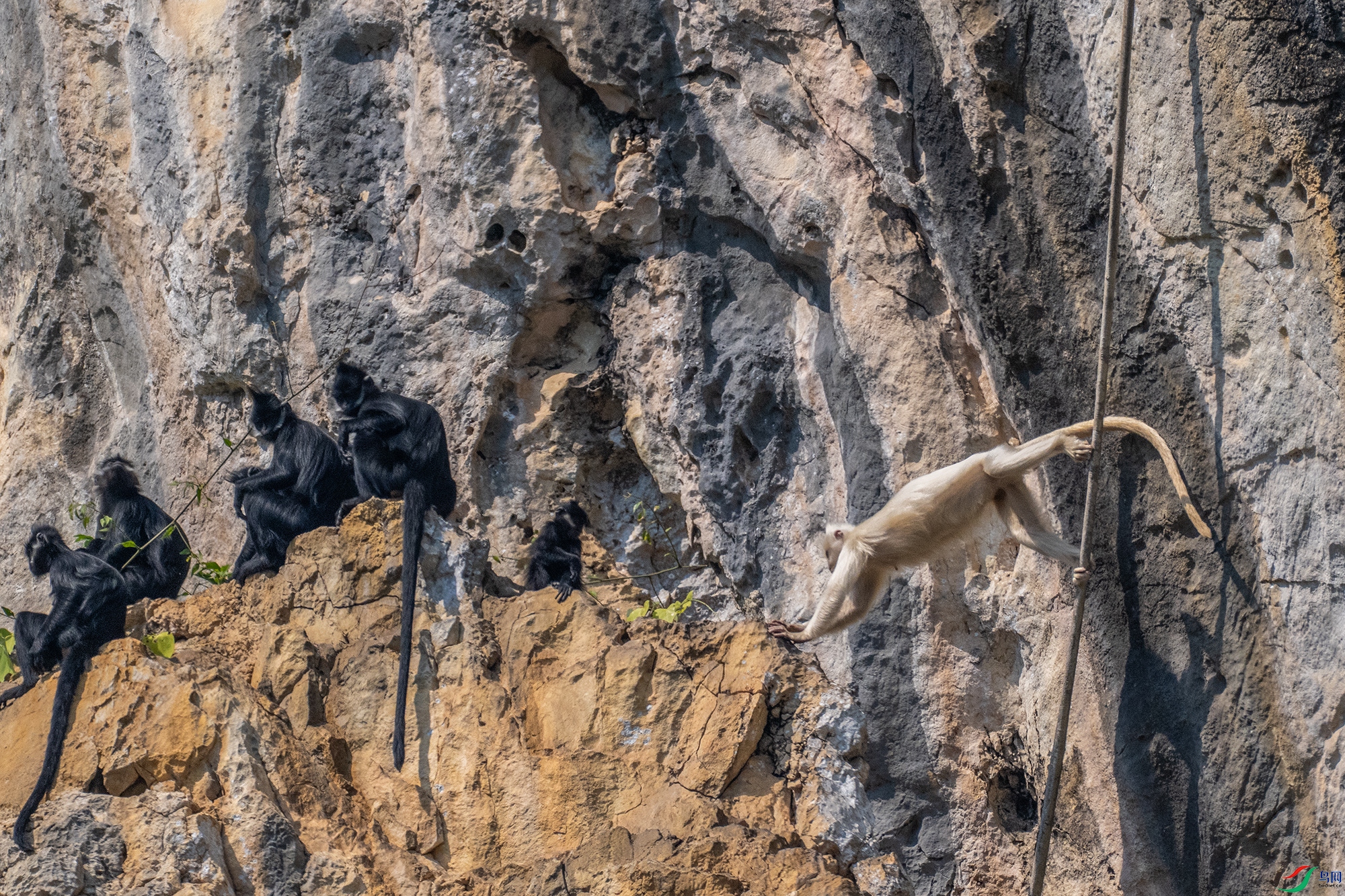 DSC_3041 ����222.jpg