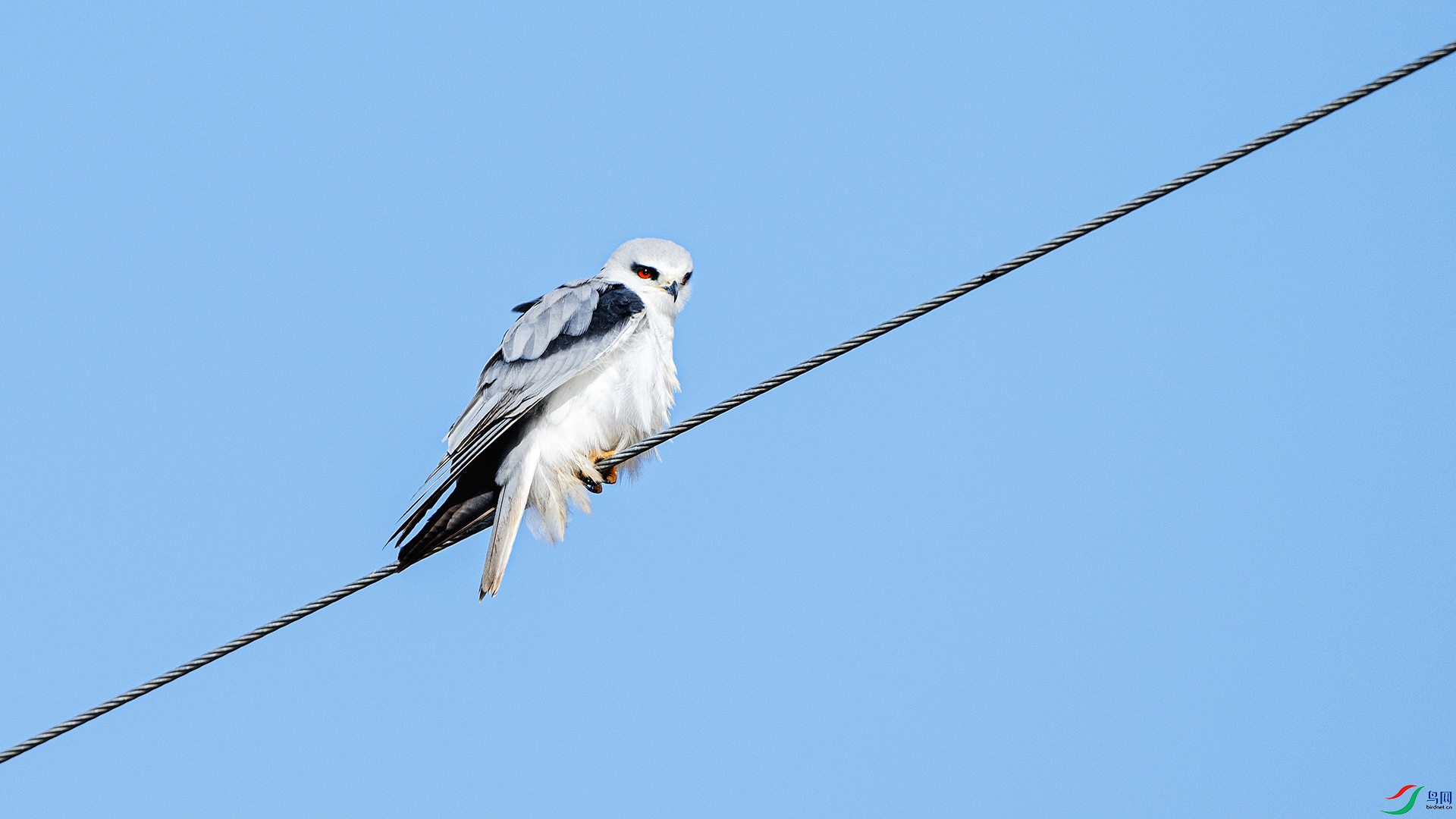 DSC_8596 ����.jpg