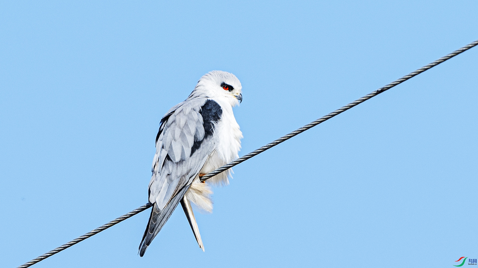 DSC_8600 ����.jpg