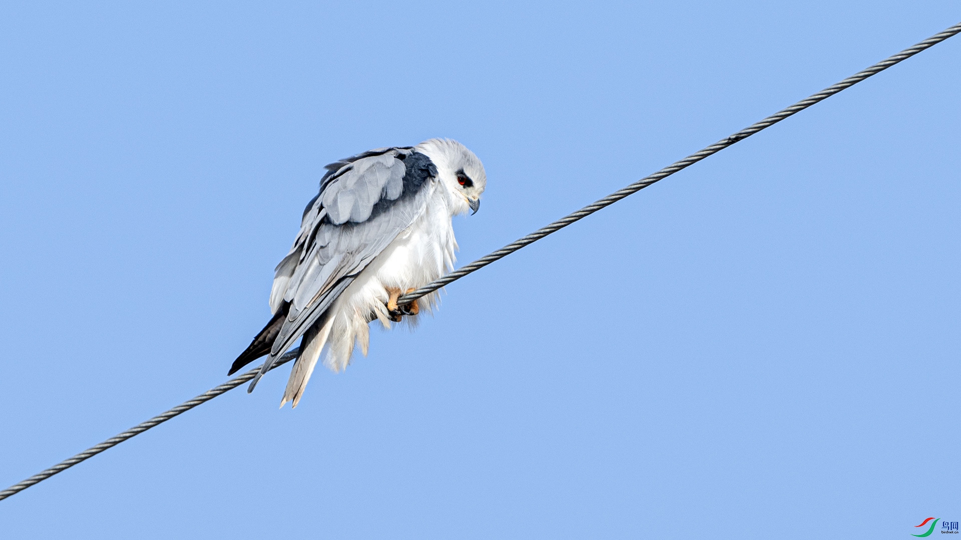 DSC_8604 ����.jpg