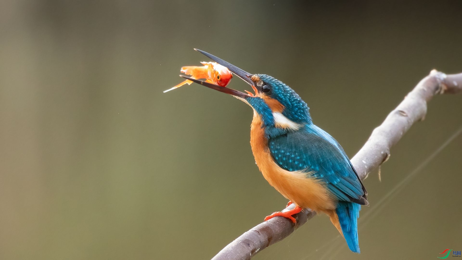 0008 ����.jpg