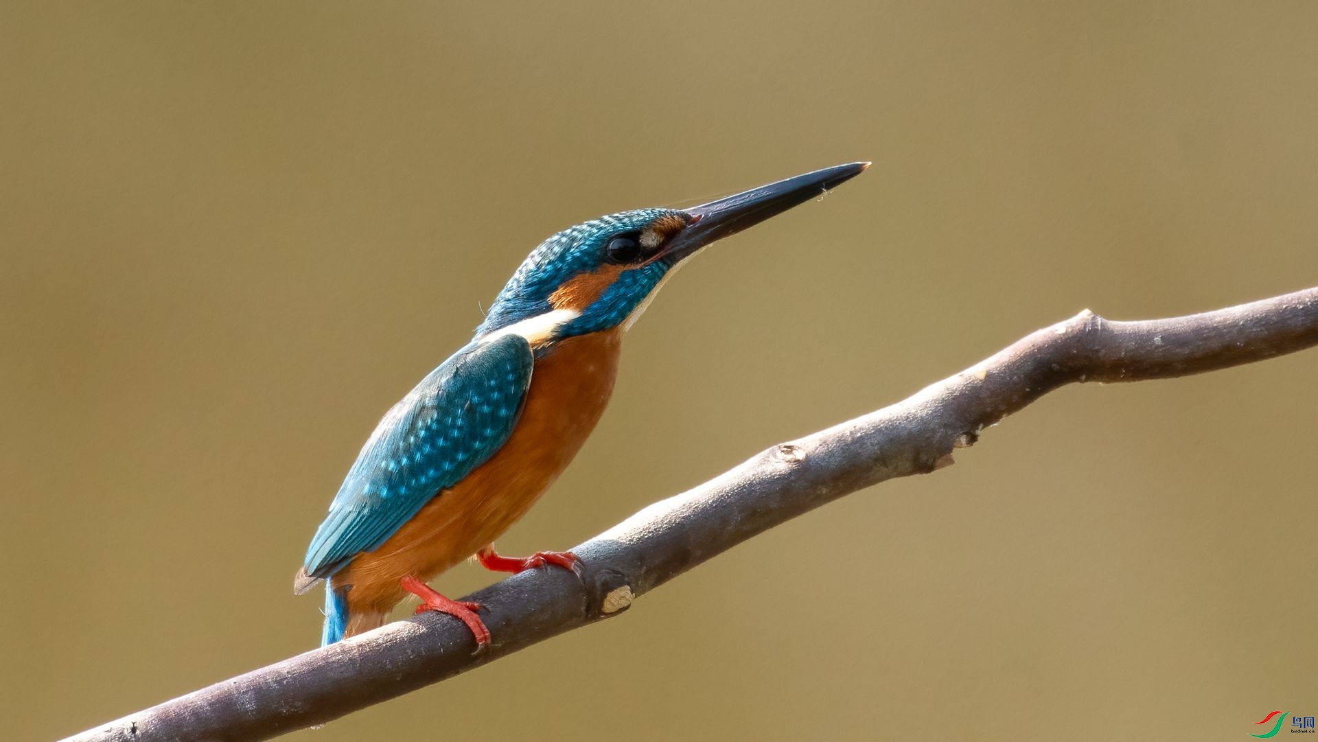 _DSC0300 ����.jpg