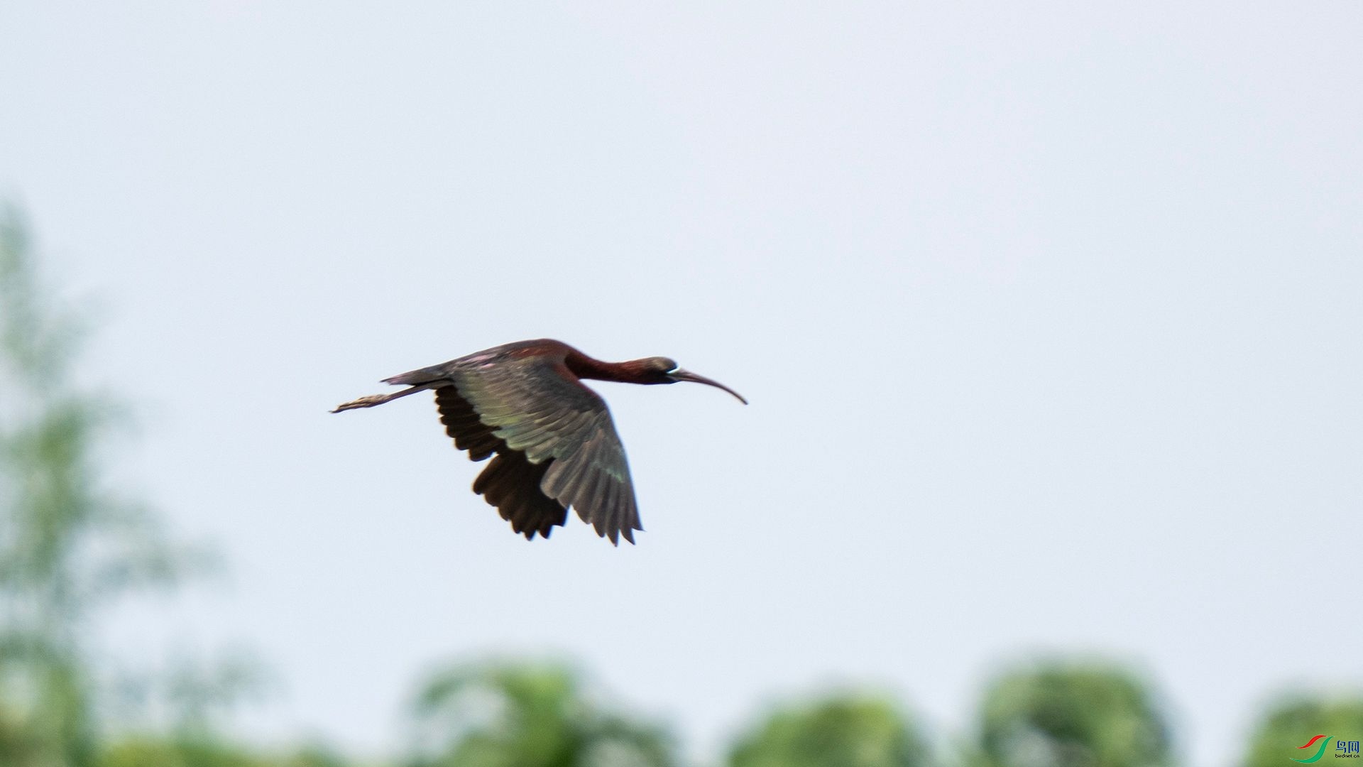 DSC07736 ����.jpg