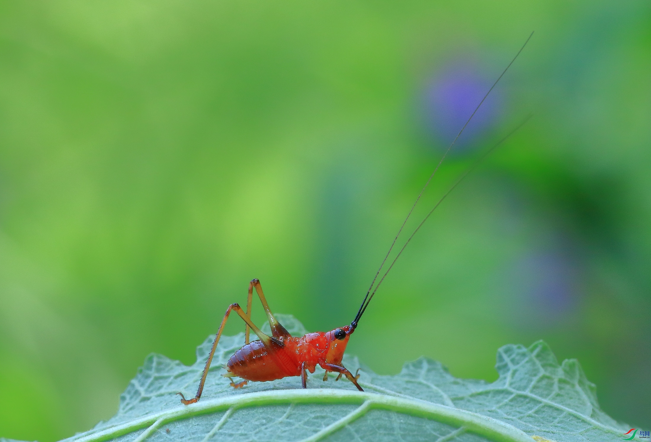 7T8A0431_����.jpg