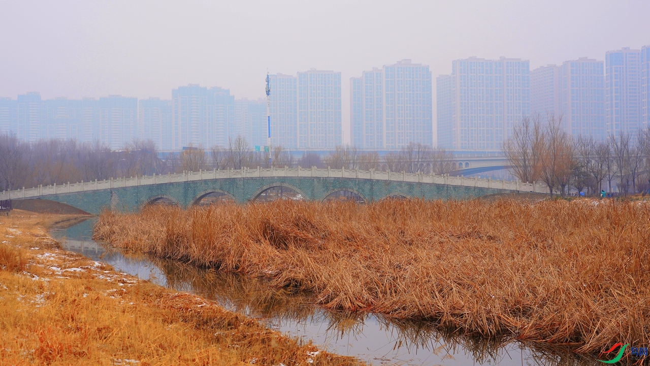 DSC00496.JPG