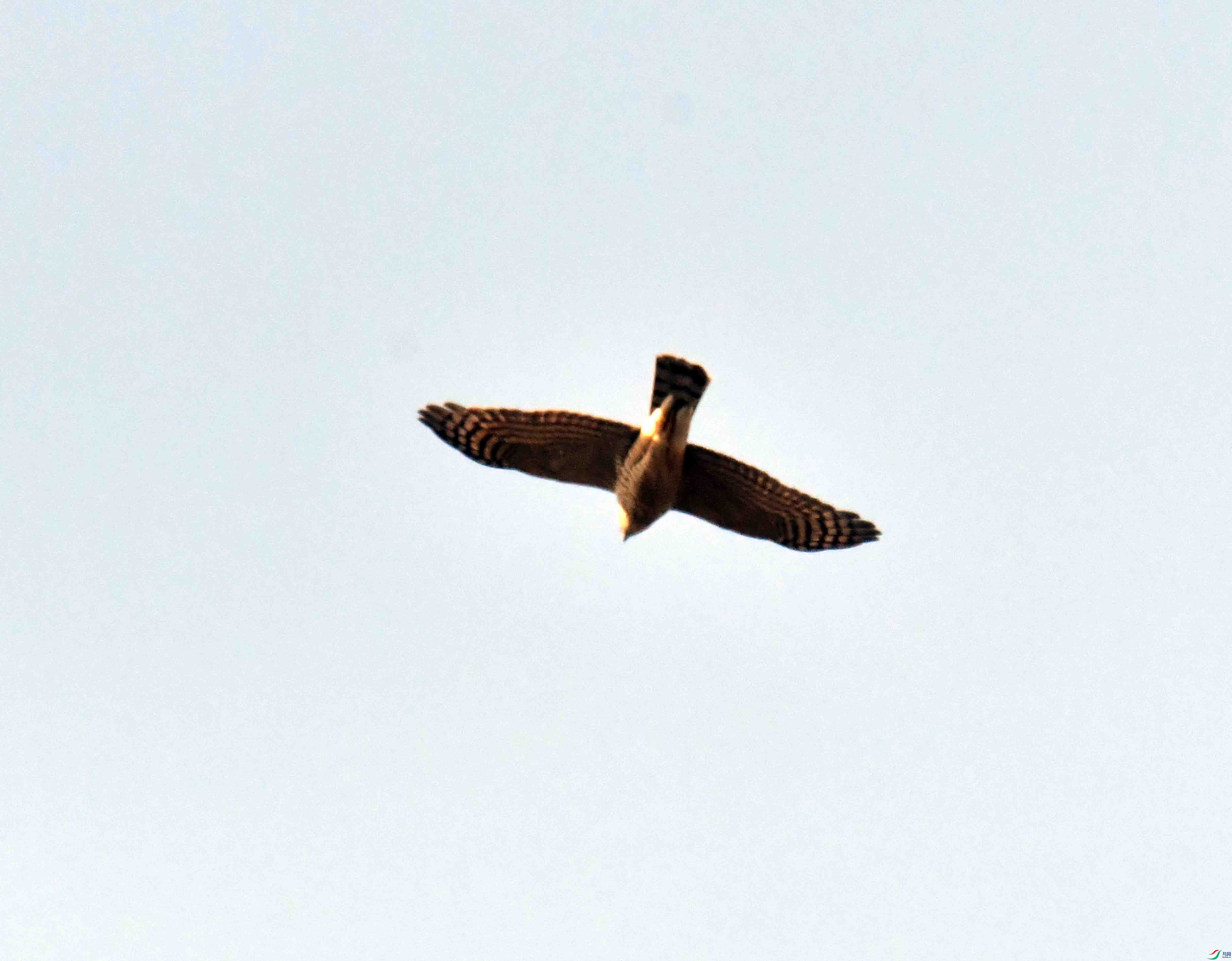 DSC_8447.JPG