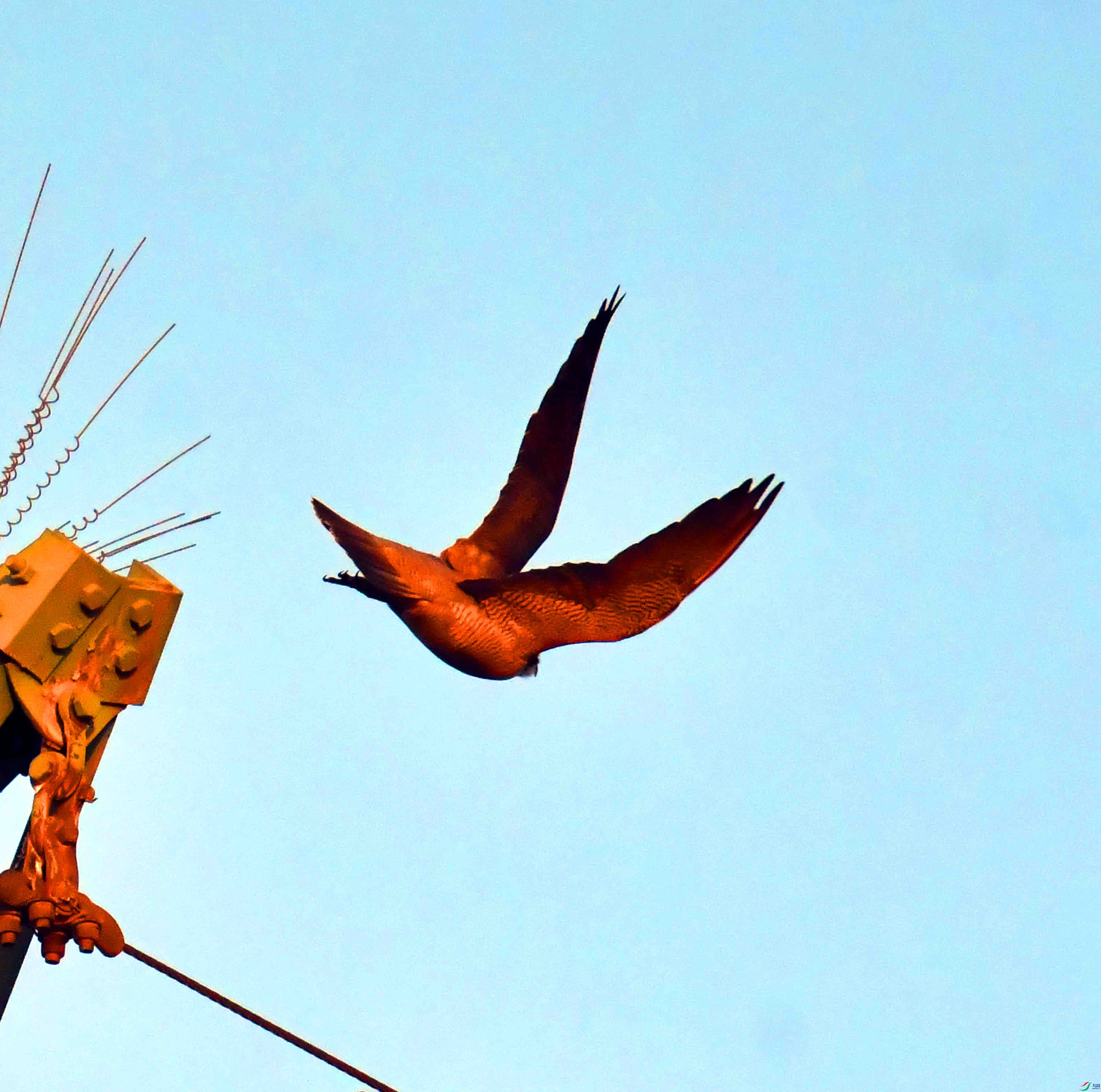 DSC_9124.JPG