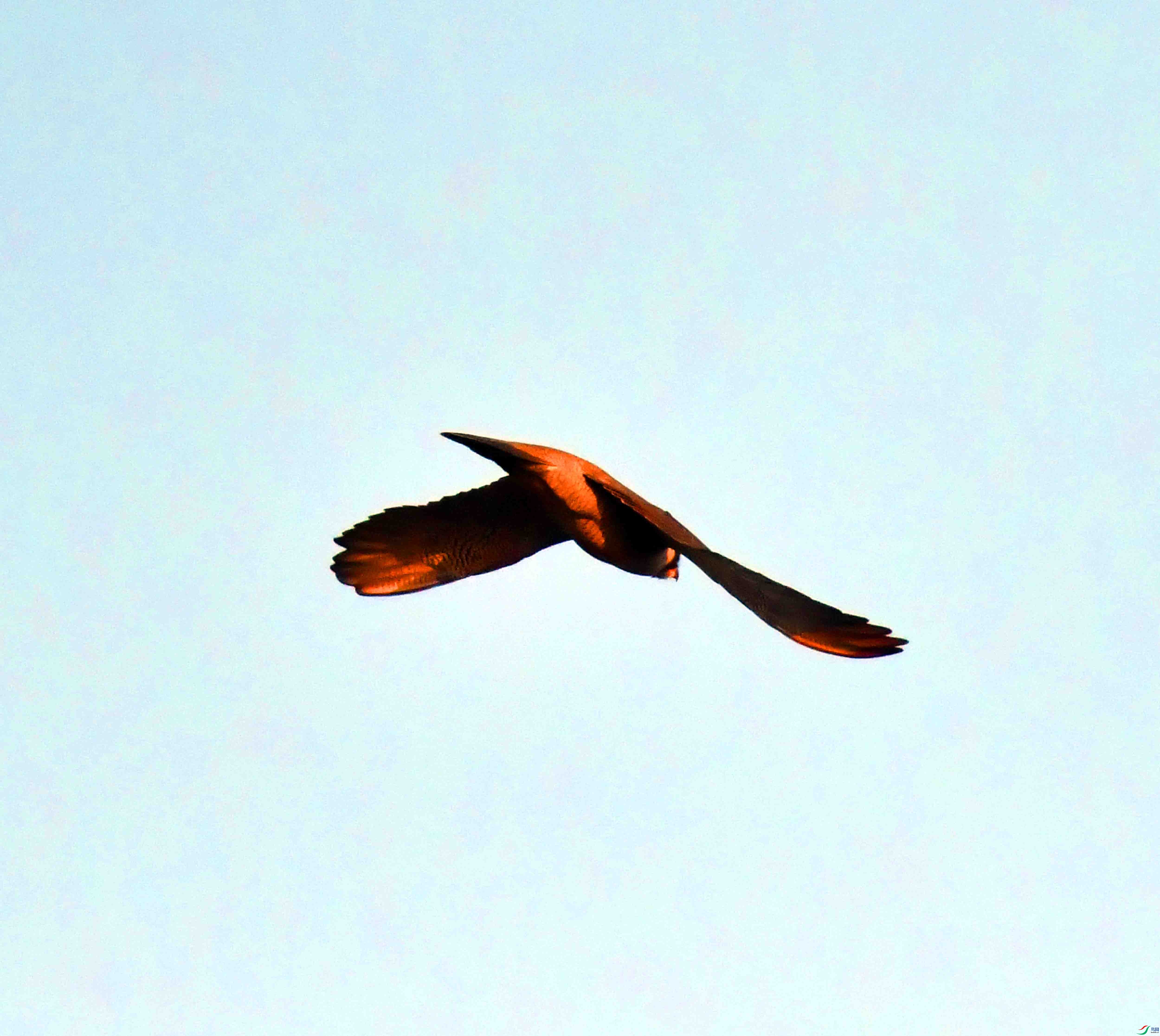 DSC_9125.JPG