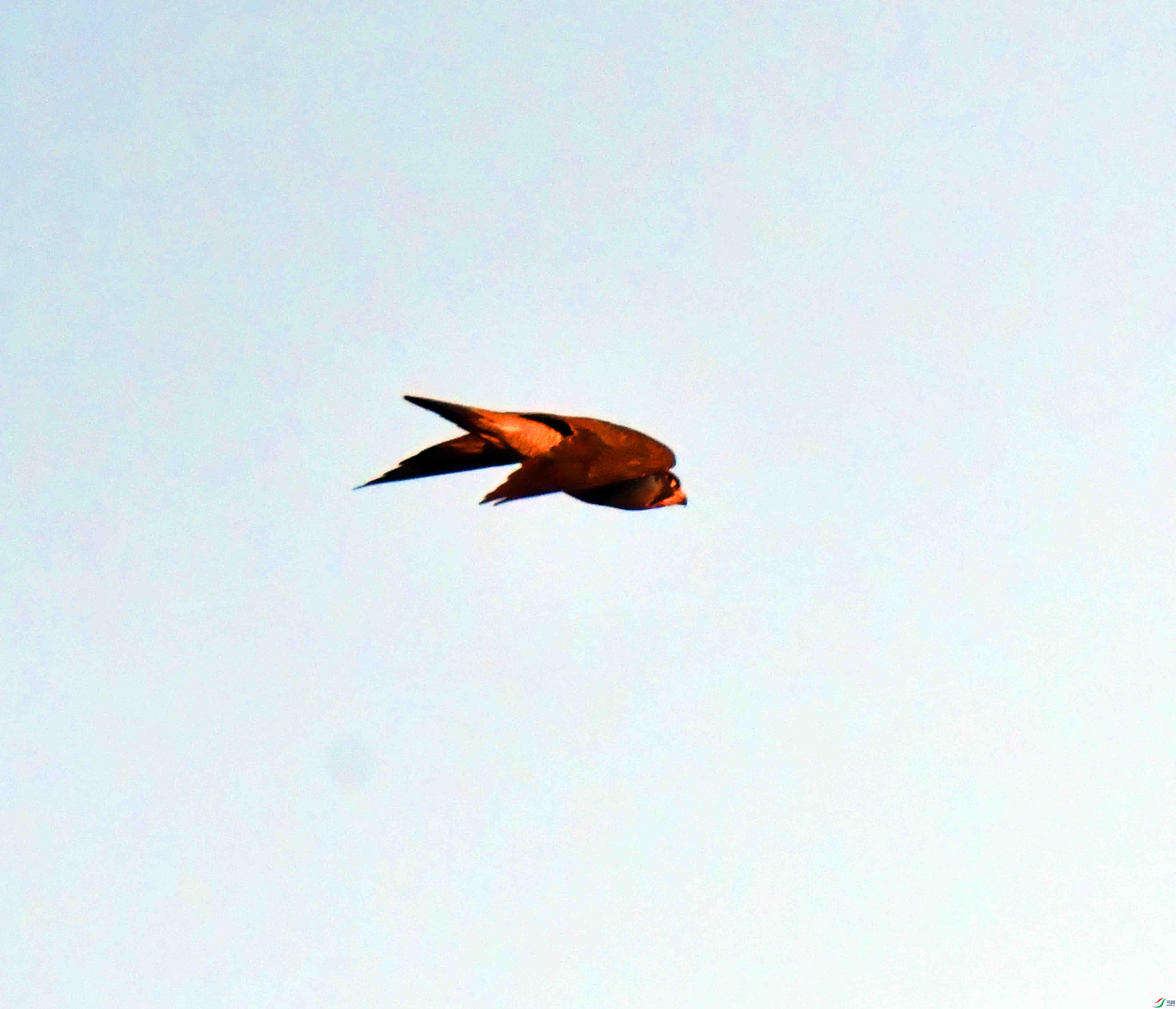 DSC_9127.JPG