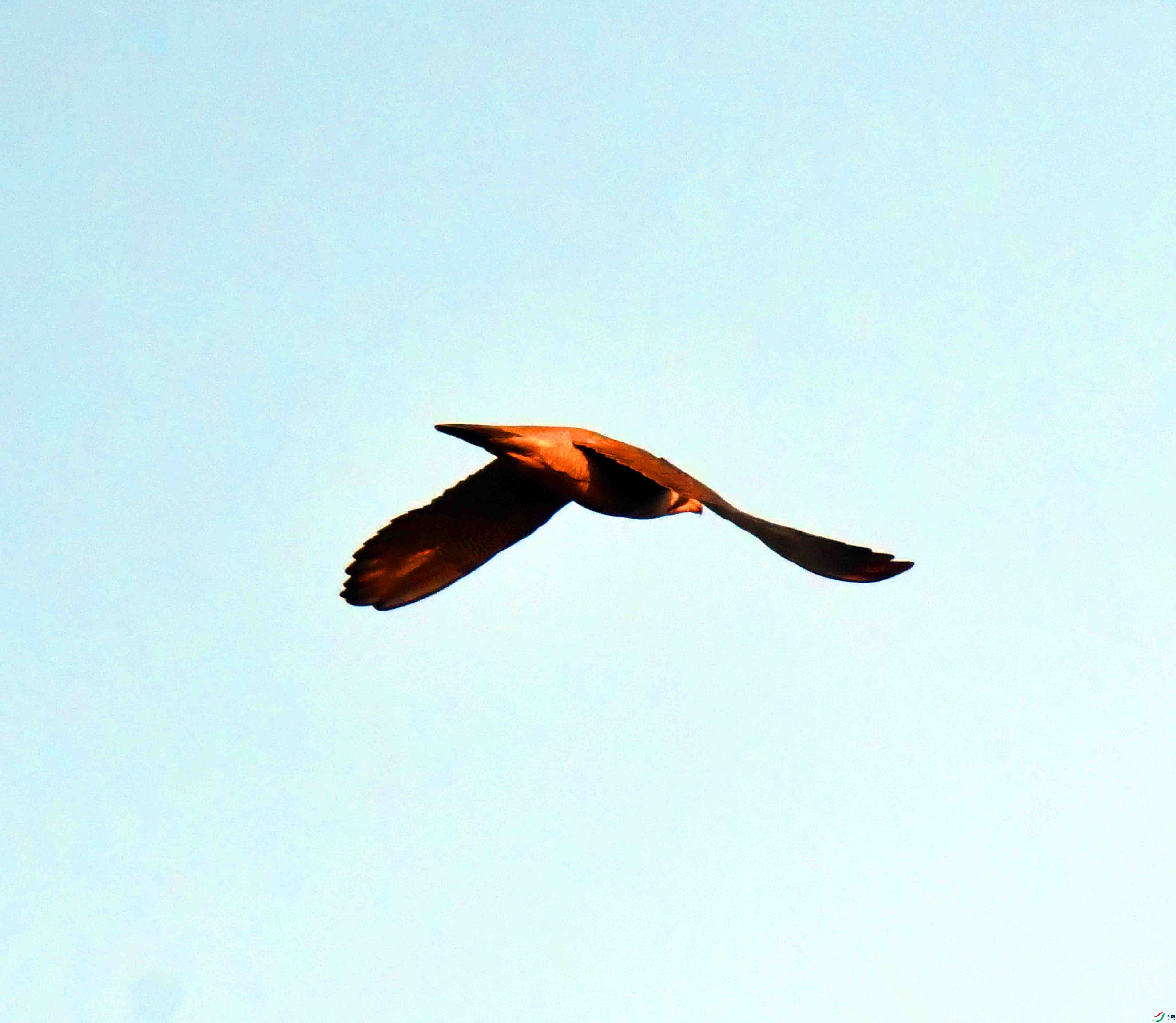 DSC_9172.JPG