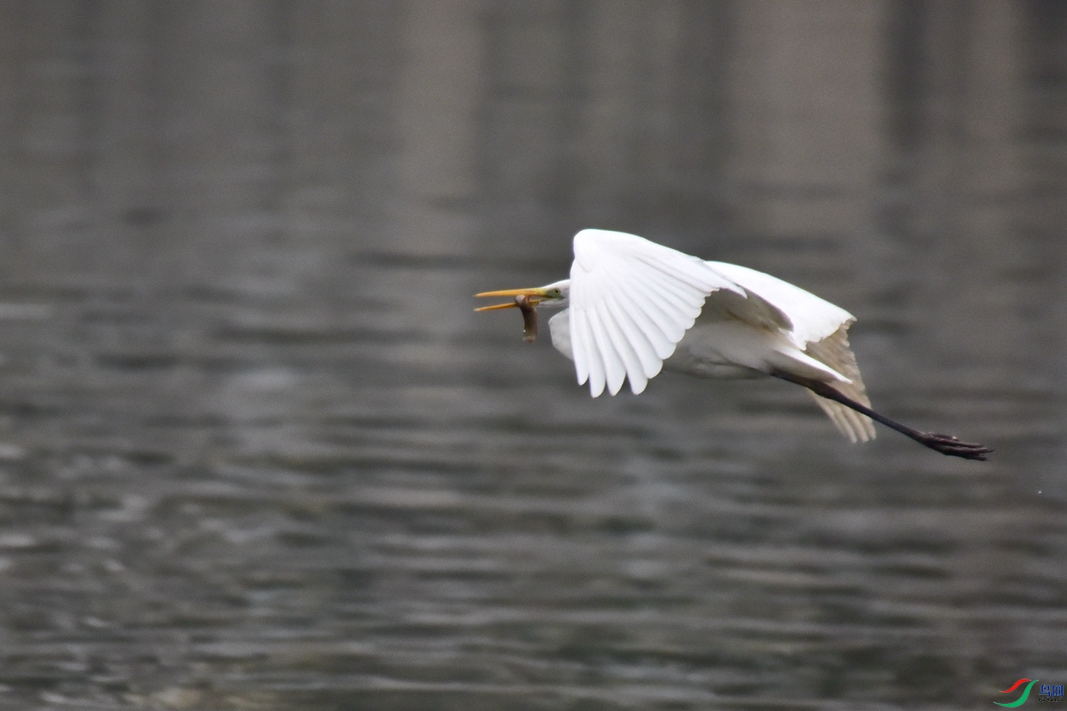 DSC_7179.JPG