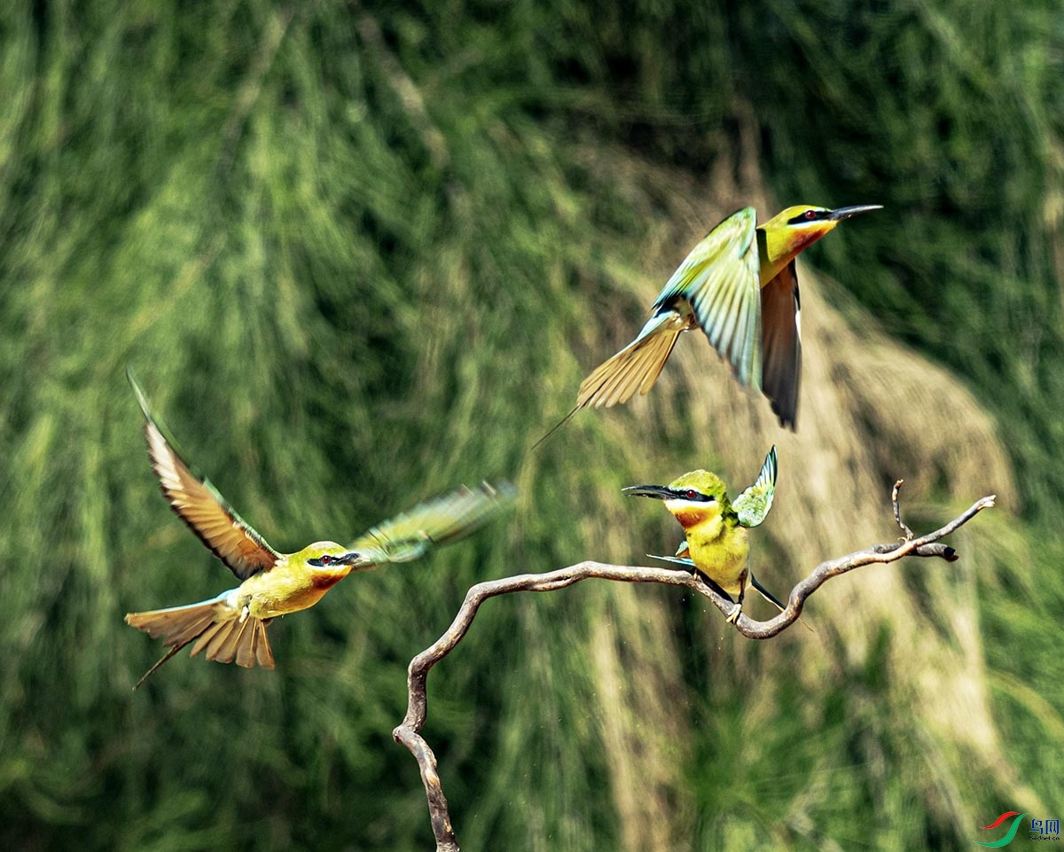 DSC_8821.jpg