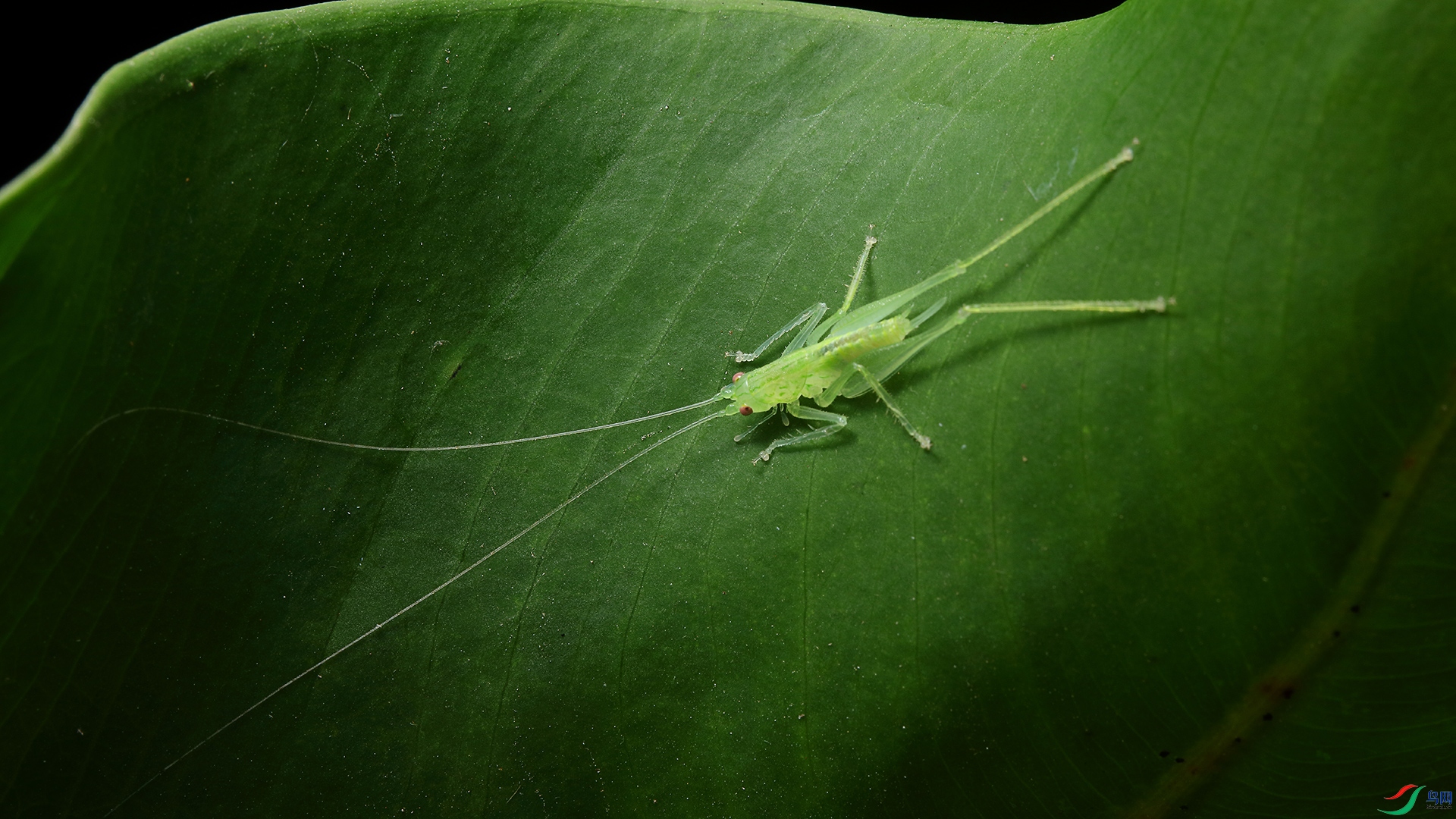 0M7A848502.jpg